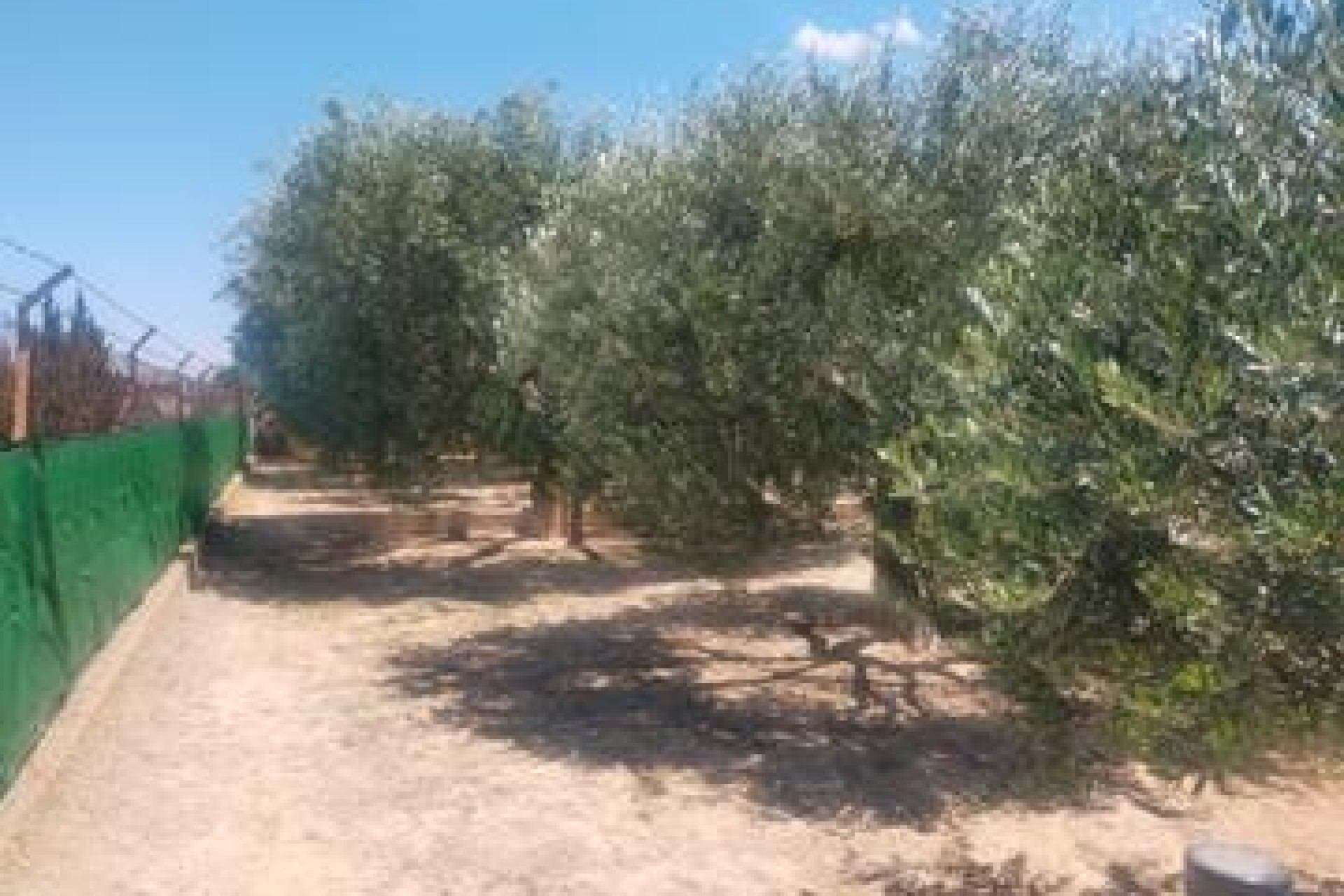 Sprzedaż - Willa wolnostojąca -
Elche