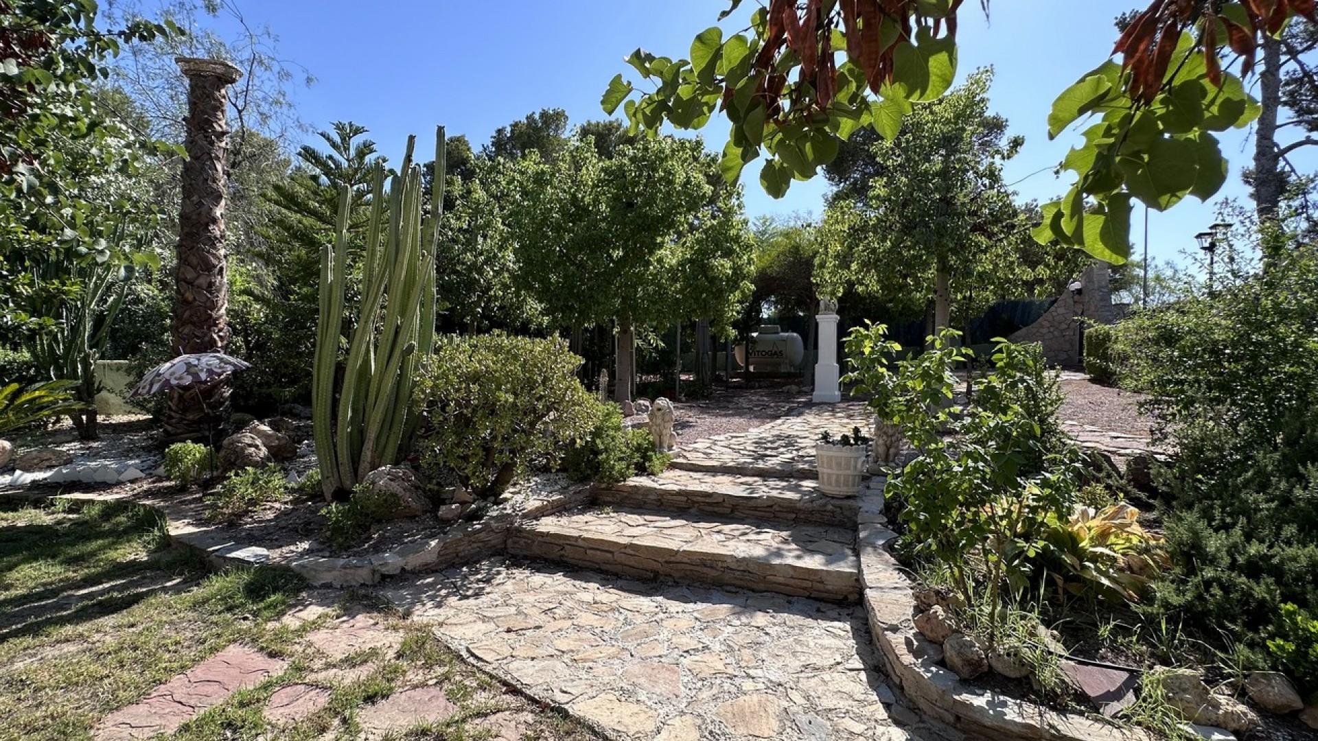 Sprzedaż - Willa wolnostojąca -
Elche