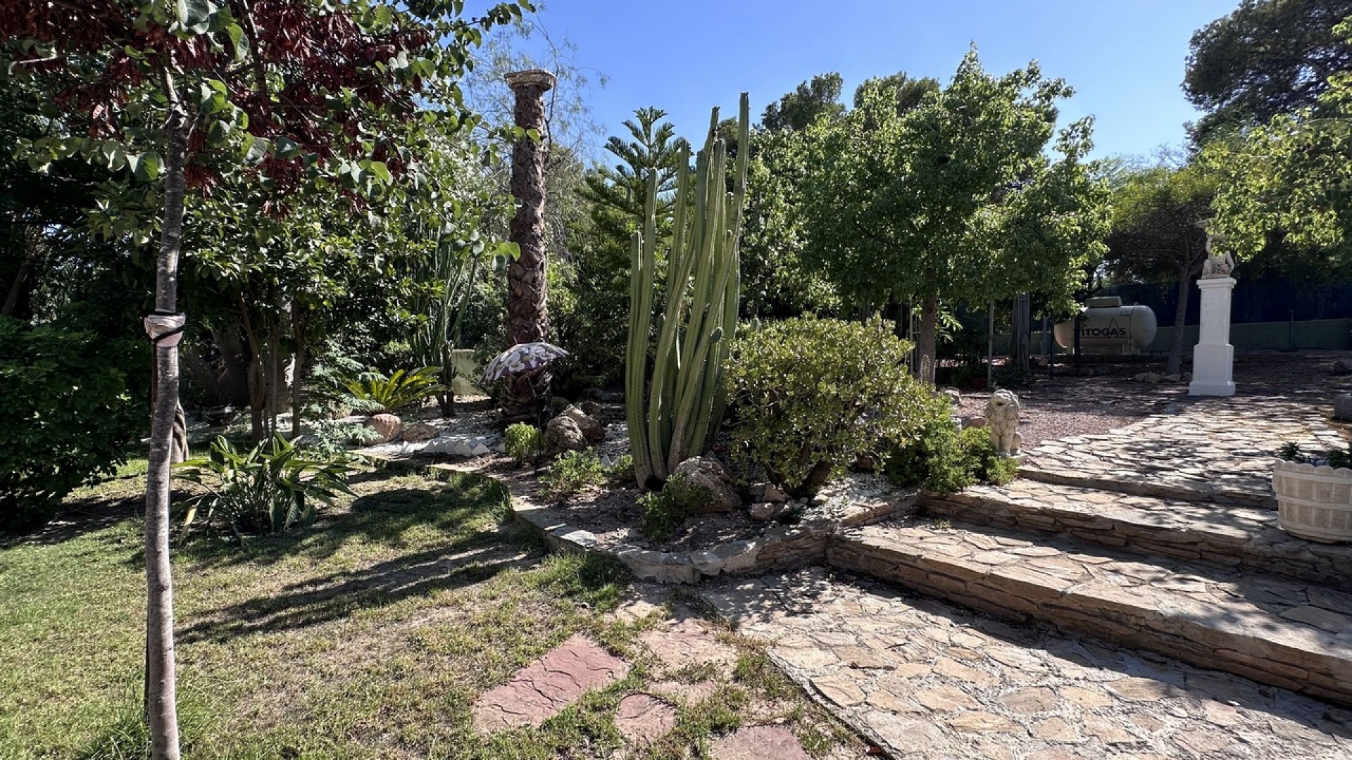 Sprzedaż - Willa wolnostojąca -
Elche