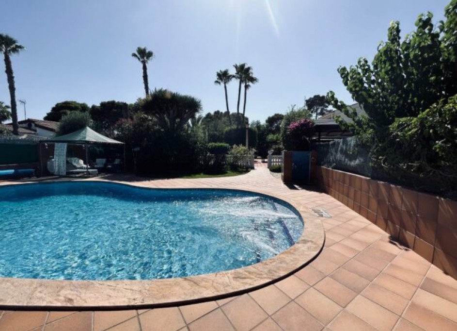 Sprzedaż - Willa wolnostojąca -
Elche