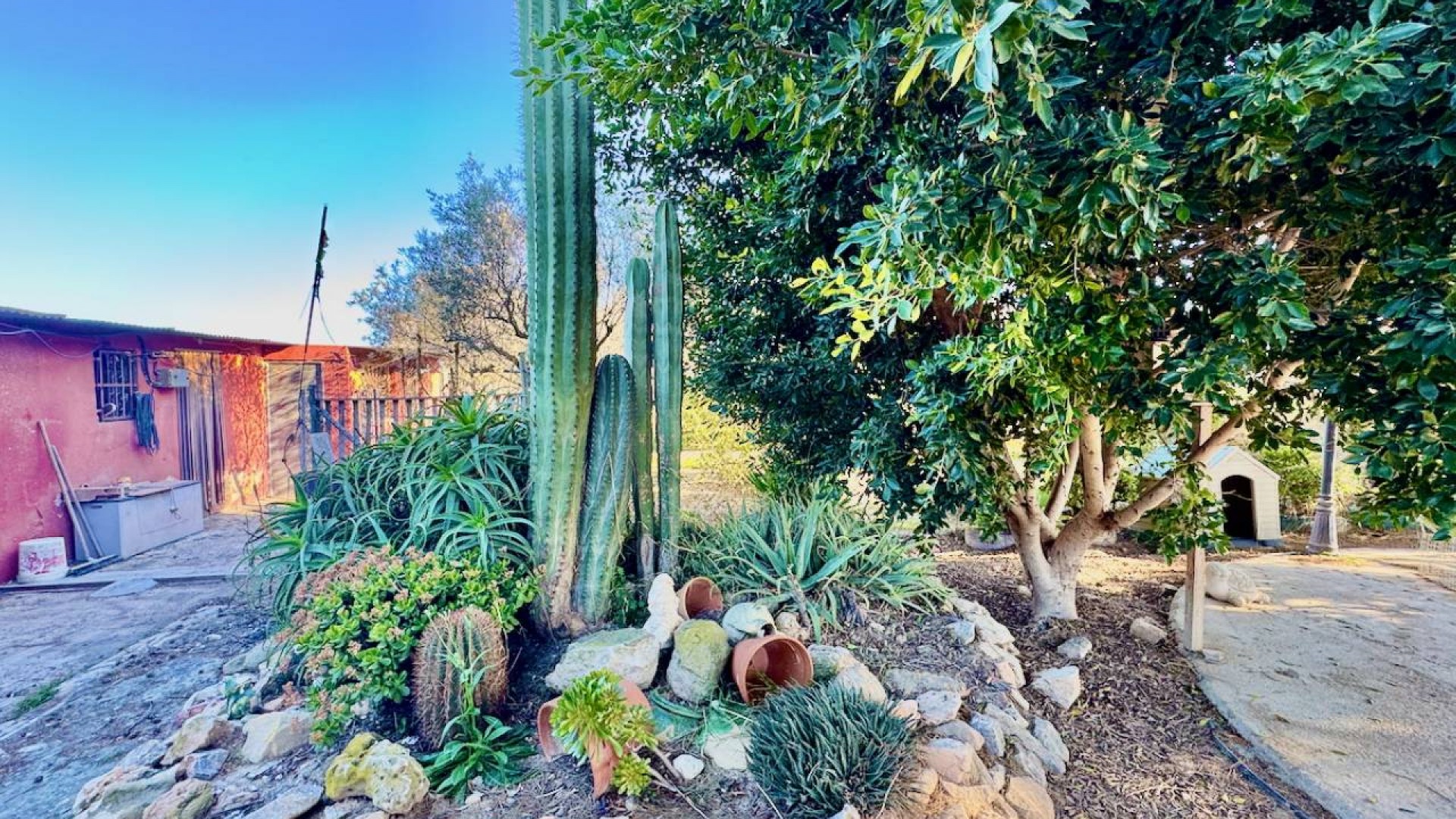 Sprzedaż - Willa wolnostojąca -
Guardamar del Segura