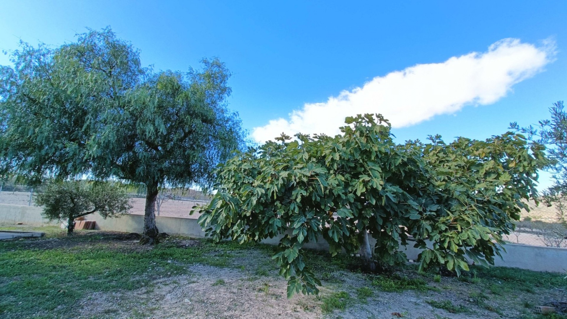 Sprzedaż - Willa wolnostojąca -
Hondón de los Fráiles