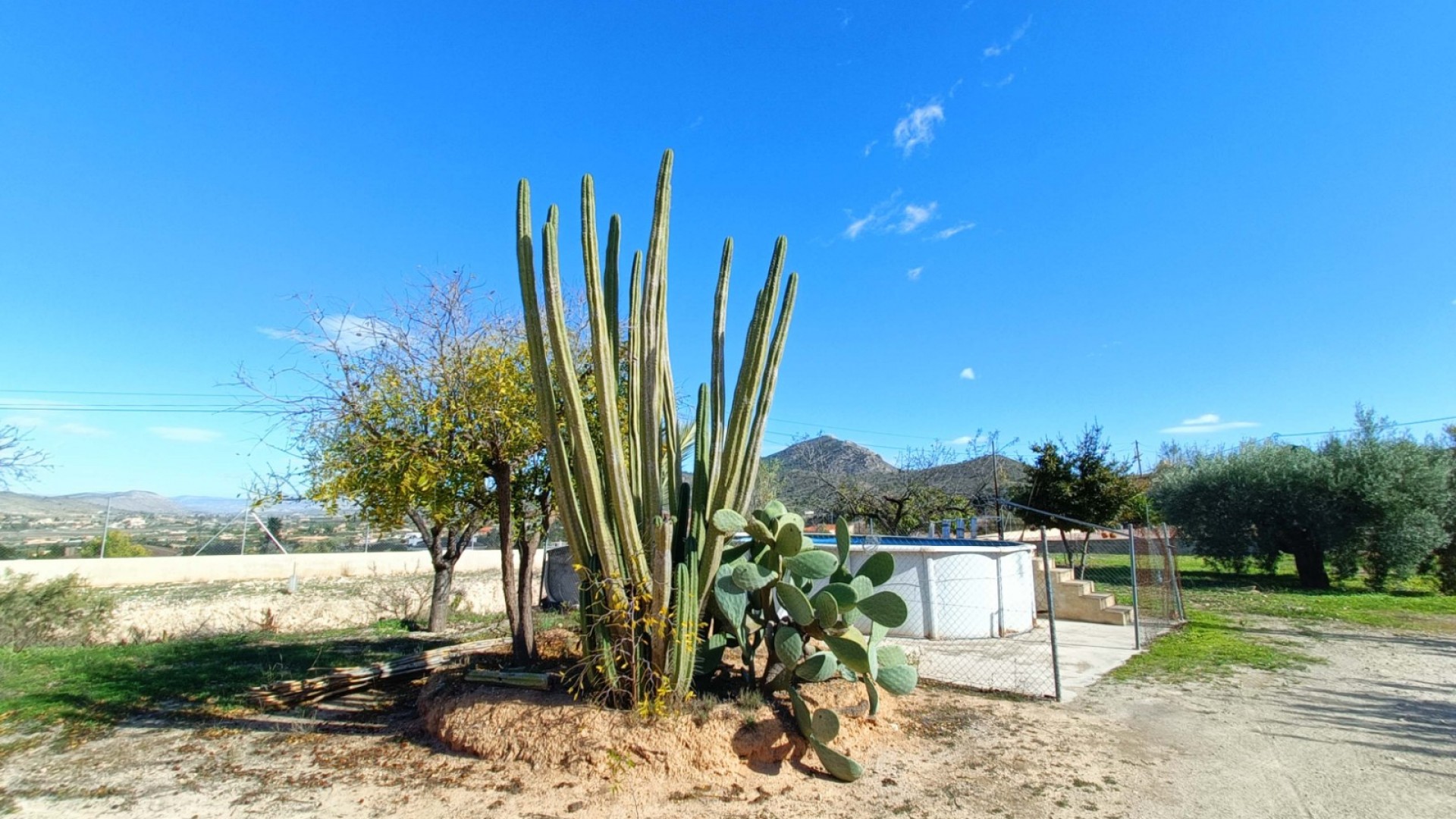 Sprzedaż - Willa wolnostojąca -
Hondón de los Fráiles