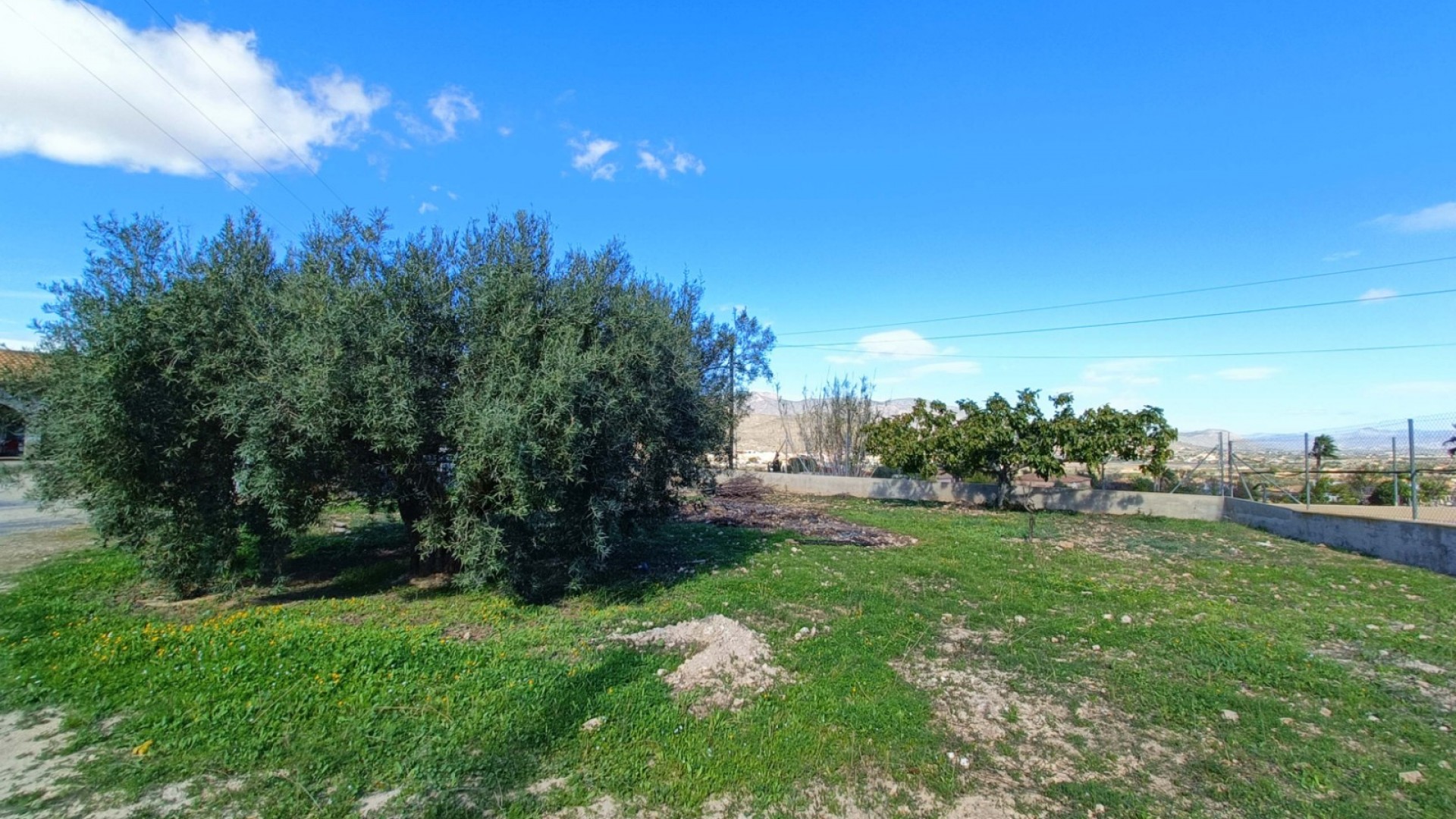 Sprzedaż - Willa wolnostojąca -
Hondón de los Fráiles