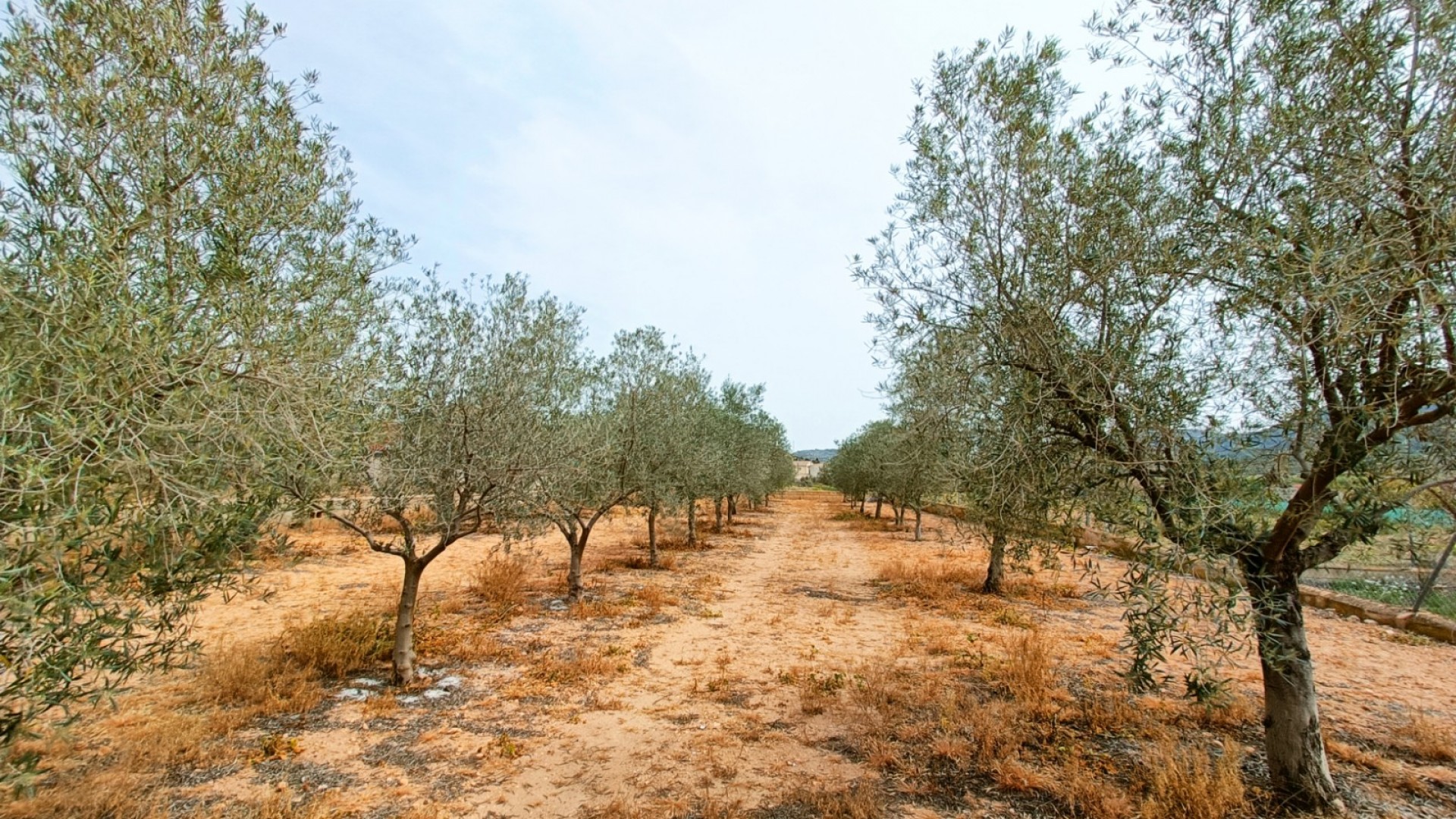 Sprzedaż - Willa wolnostojąca -
Hondón de los Fráiles