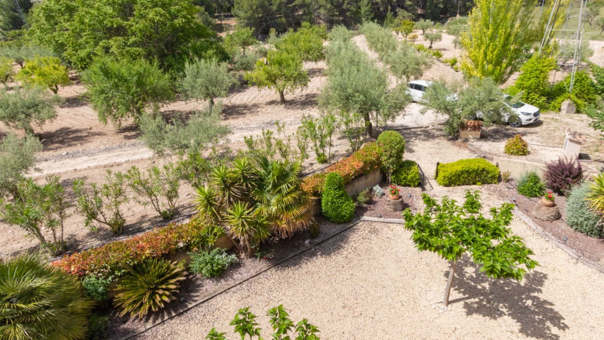 Sprzedaż - Willa wolnostojąca -
Ibi