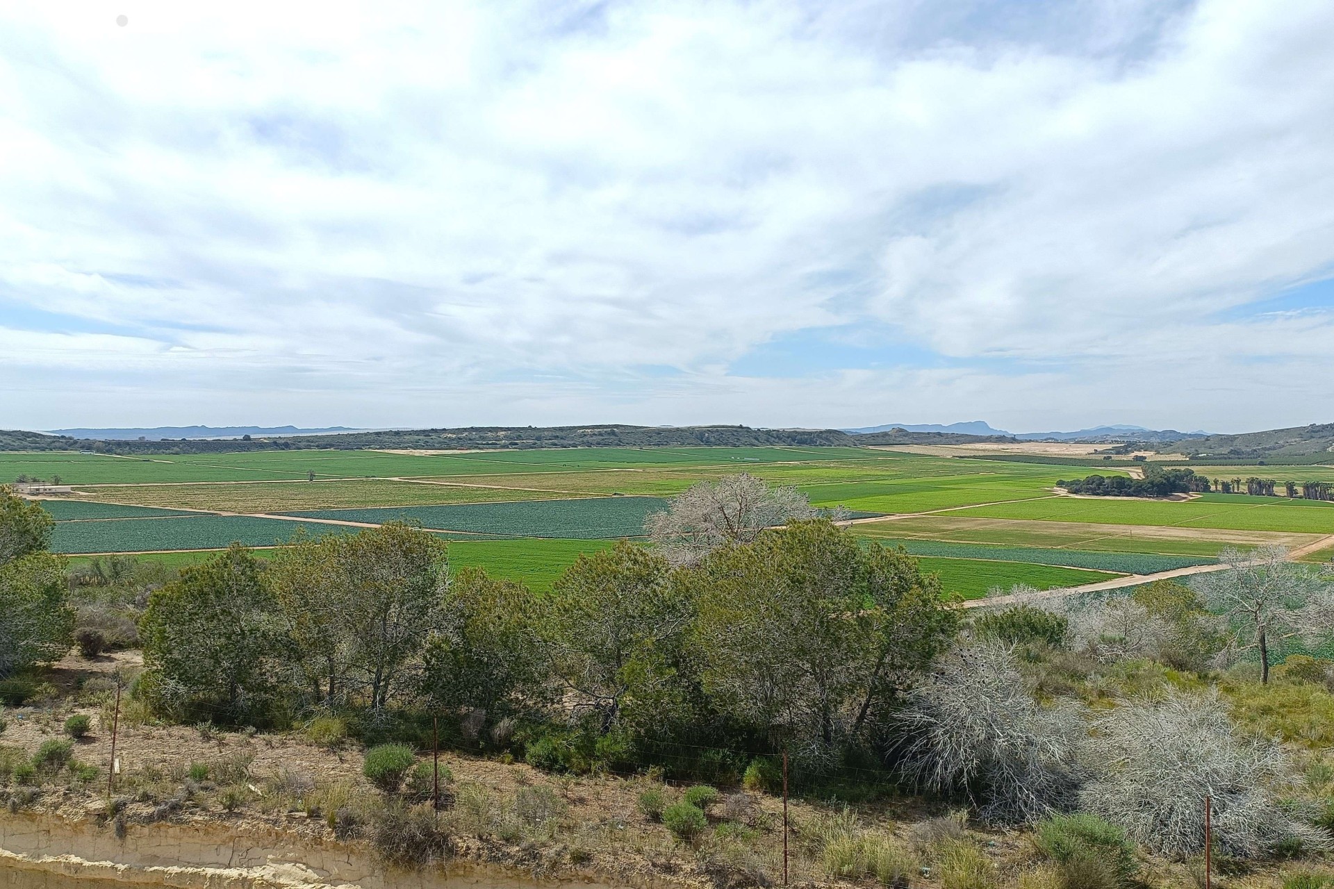 Sprzedaż - Willa wolnostojąca -
La Finca Golf - La Finca Golf and Spa Resort