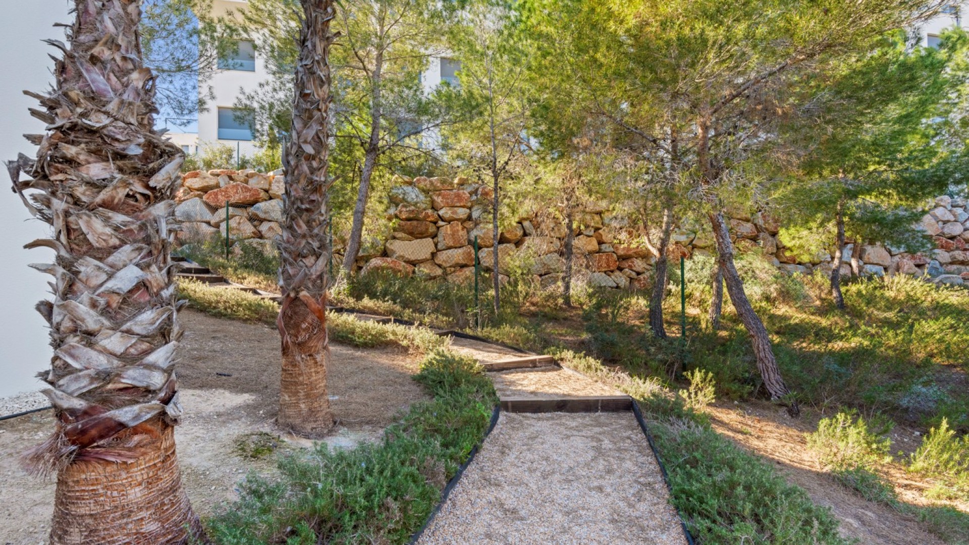 Sprzedaż - Willa wolnostojąca -
Las Colinas - Las Colinas golf