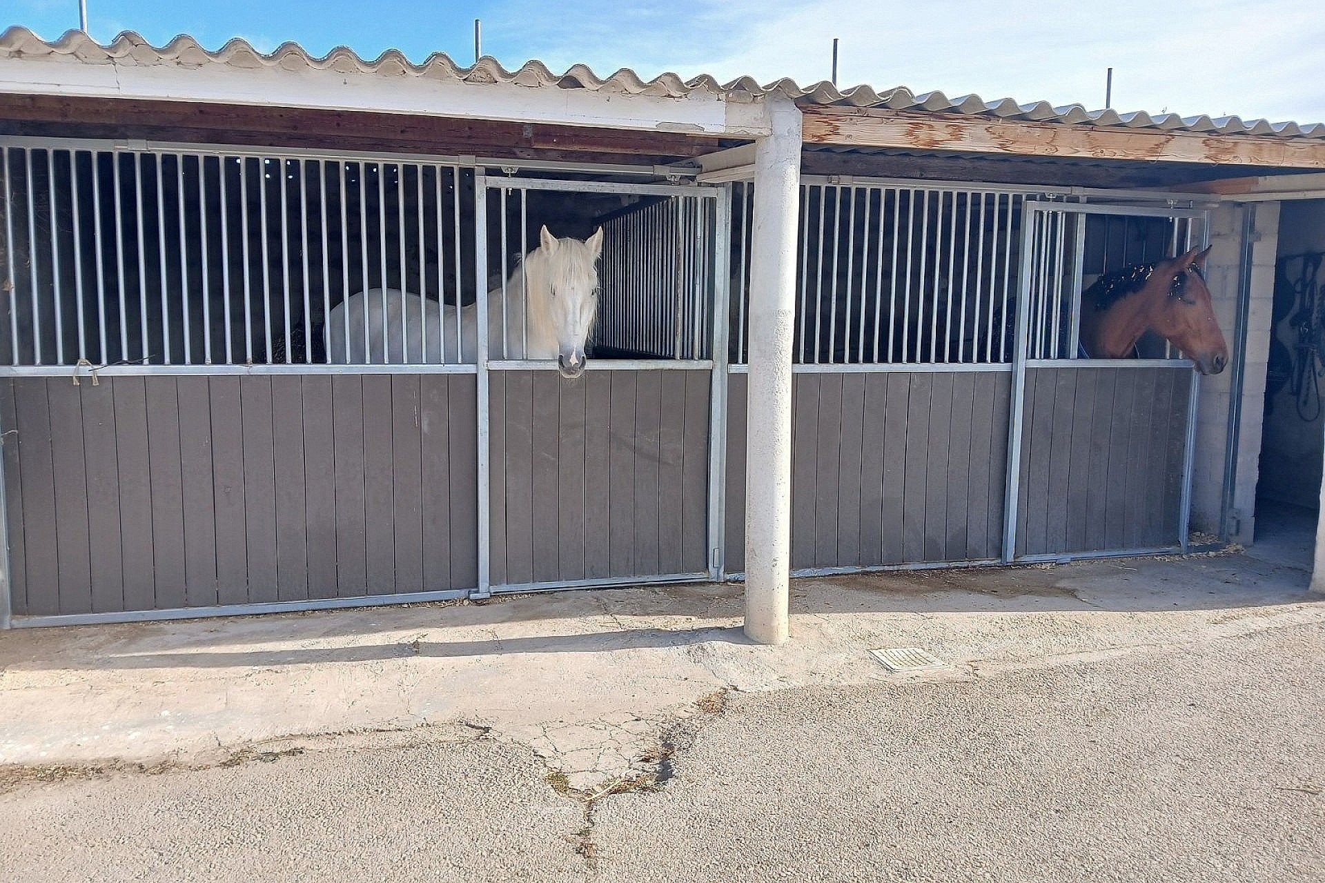 Sprzedaż - Willa wolnostojąca -
Monóvar