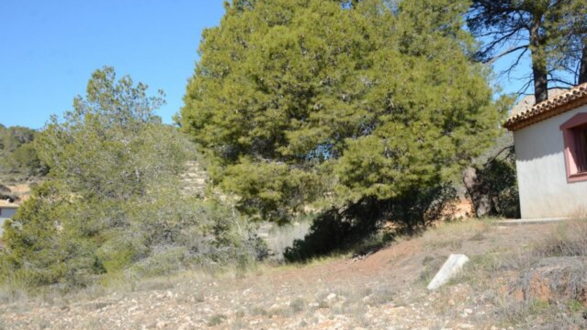 Sprzedaż - Willa wolnostojąca -
Monóvar