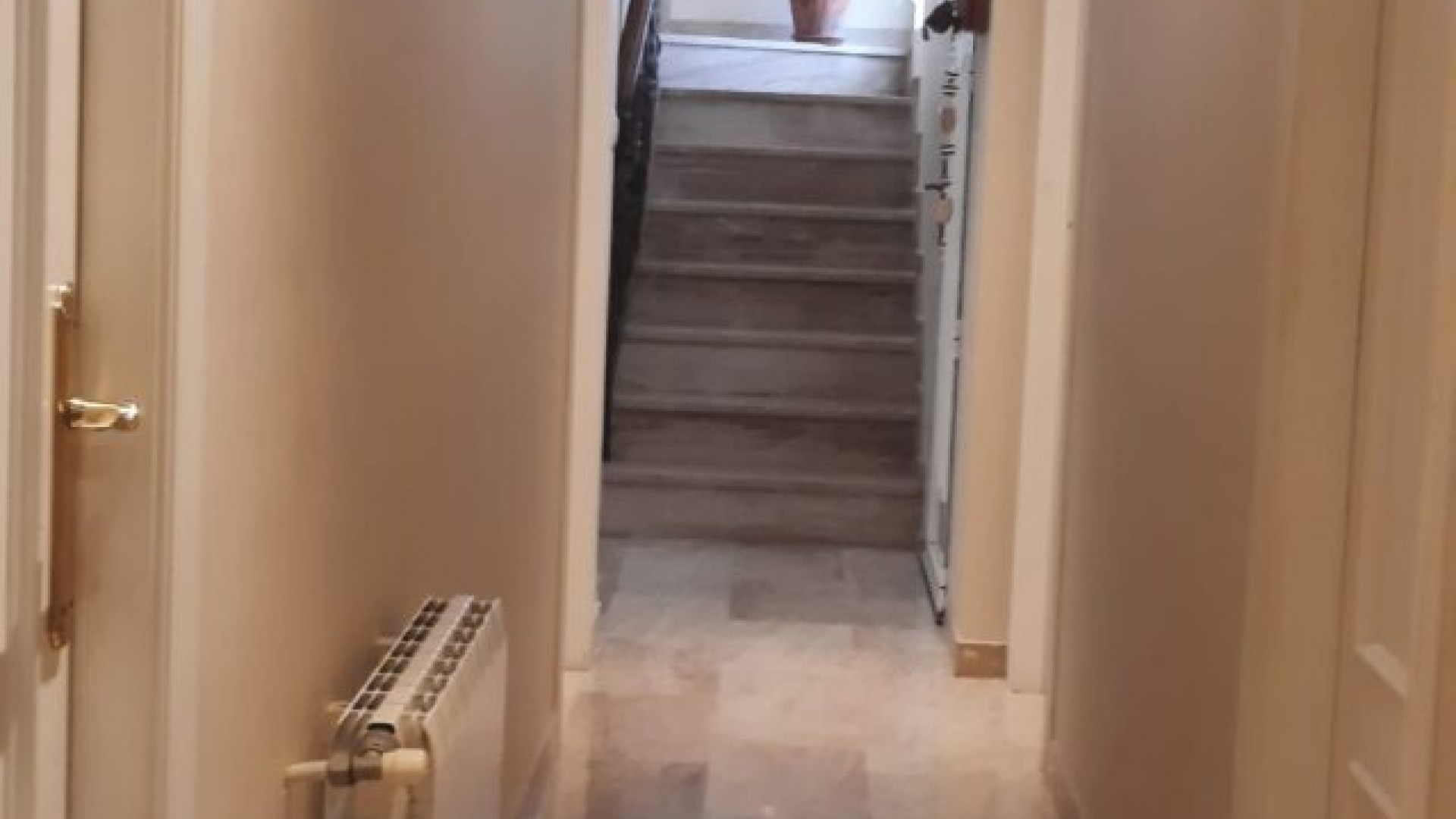 Sprzedaż - Willa wolnostojąca -
Monóvar