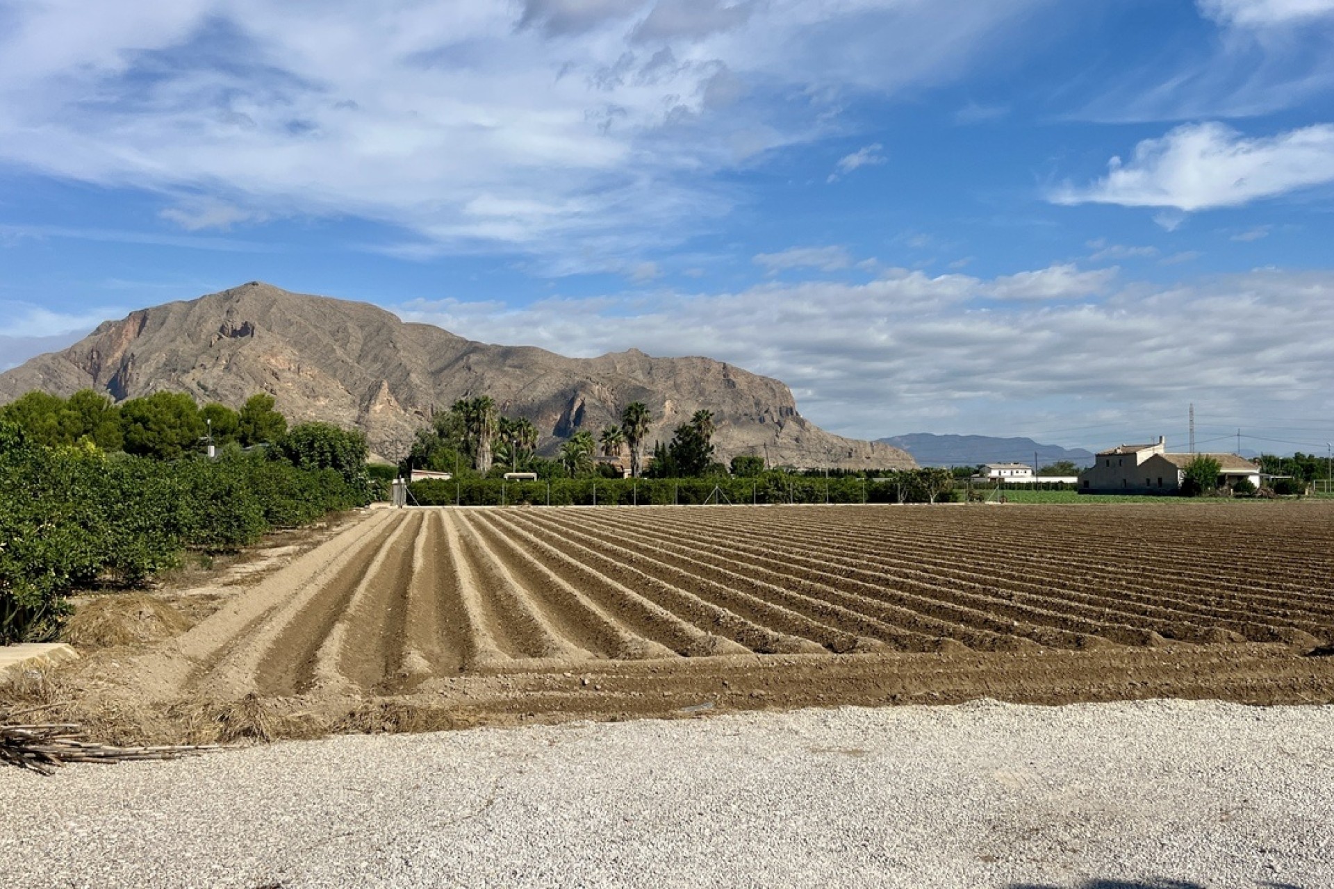 Sprzedaż - Willa wolnostojąca -
Orihuela