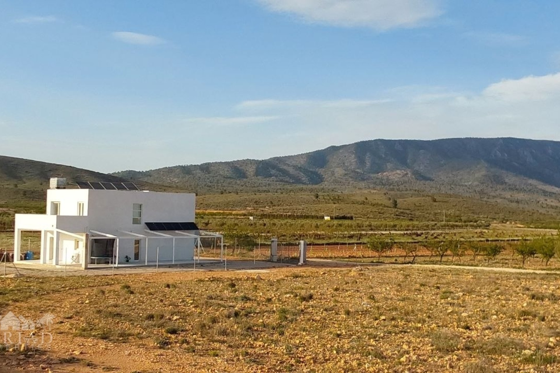 Sprzedaż - Willa wolnostojąca -
Pinoso - Pinoso Alicante