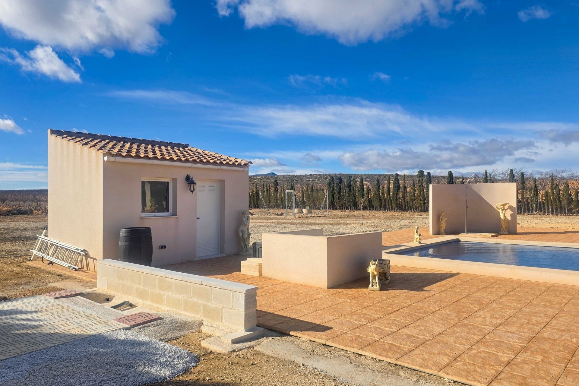 Sprzedaż - Willa wolnostojąca -
Pinoso