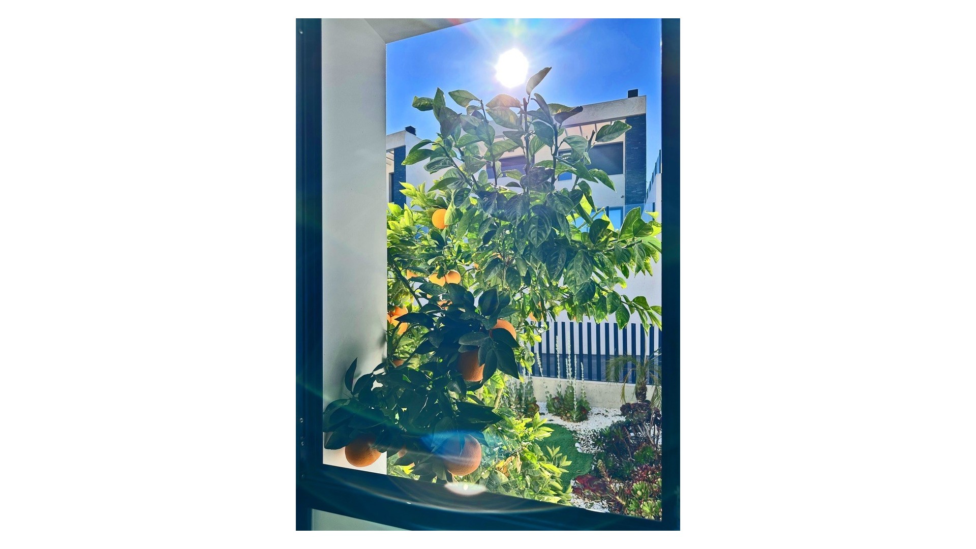 Sprzedaż - Willa wolnostojąca -
Rojales