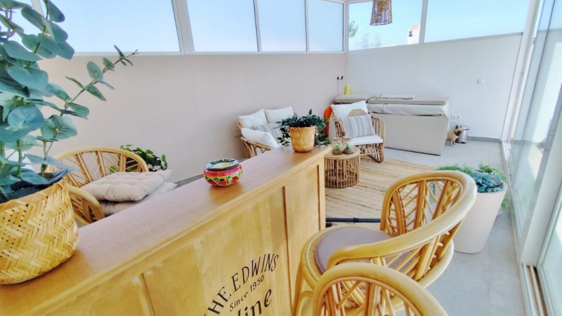 Sprzedaż - Willa wolnostojąca -
San Miguel de Salinas