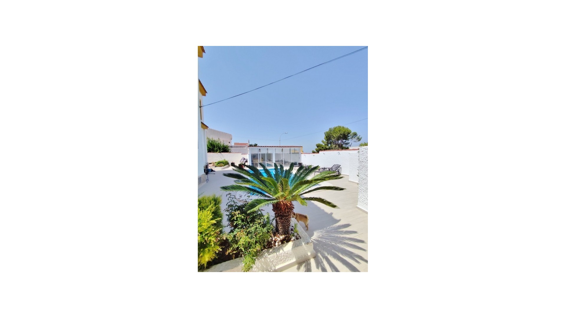 Sprzedaż - Willa wolnostojąca -
San Miguel de Salinas