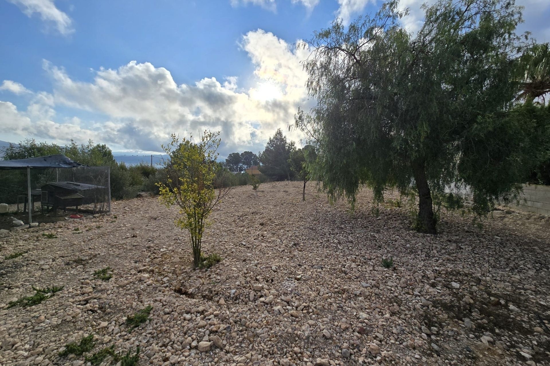 Sprzedaż - Willa wolnostojąca -
SAX