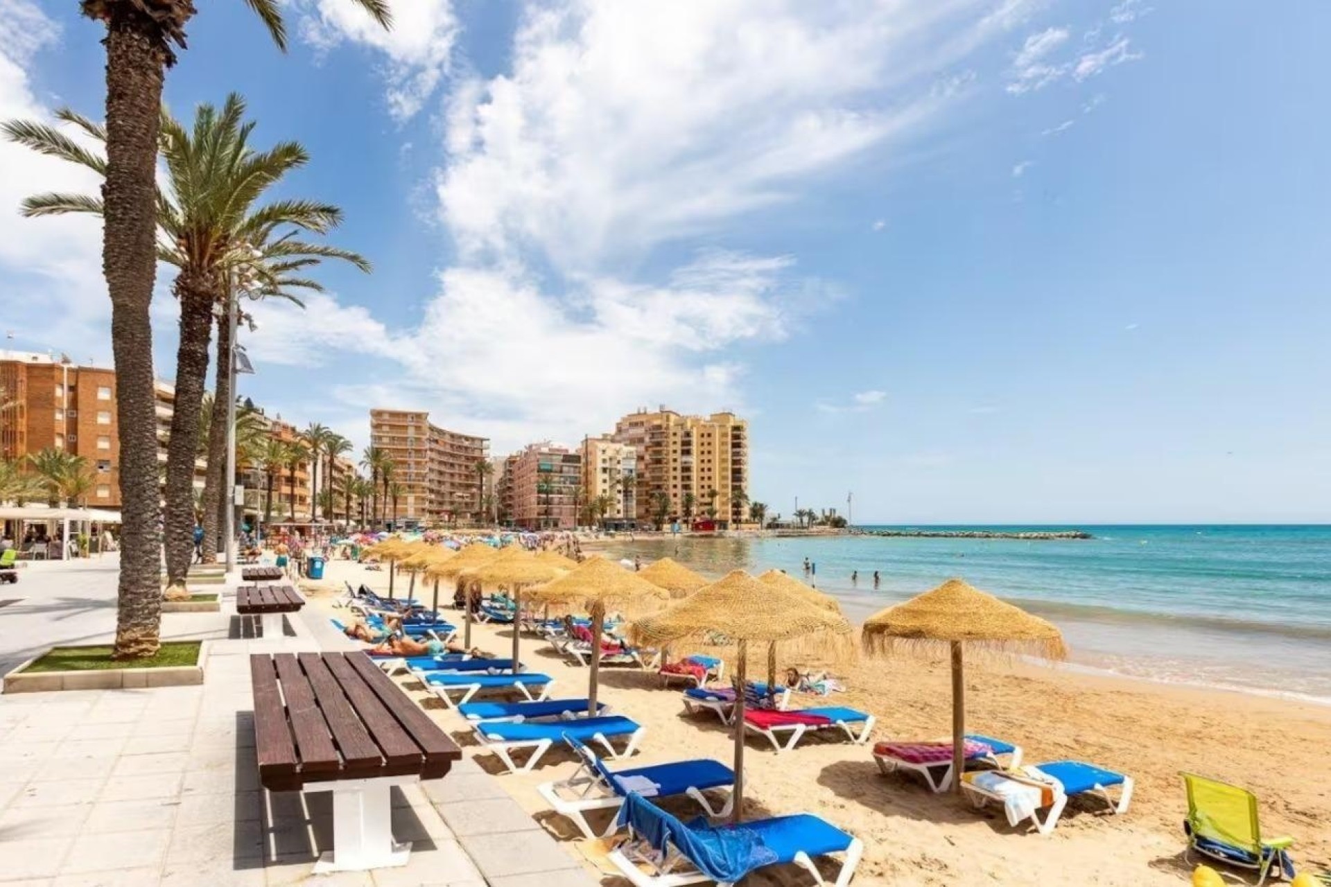 Sprzedaż - Willa wolnostojąca -
Torrevieja - Center
