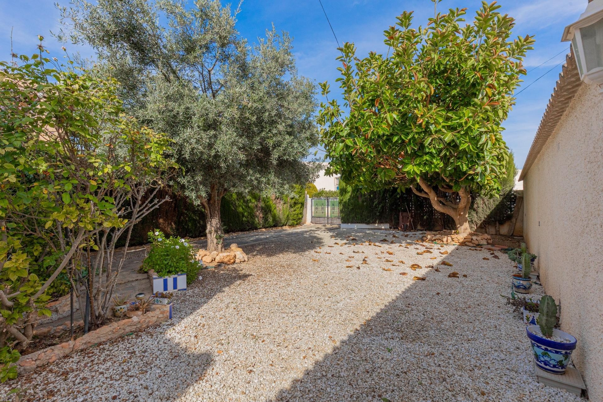 Sprzedaż - Willa wolnostojąca -
Torrevieja - El chaparral