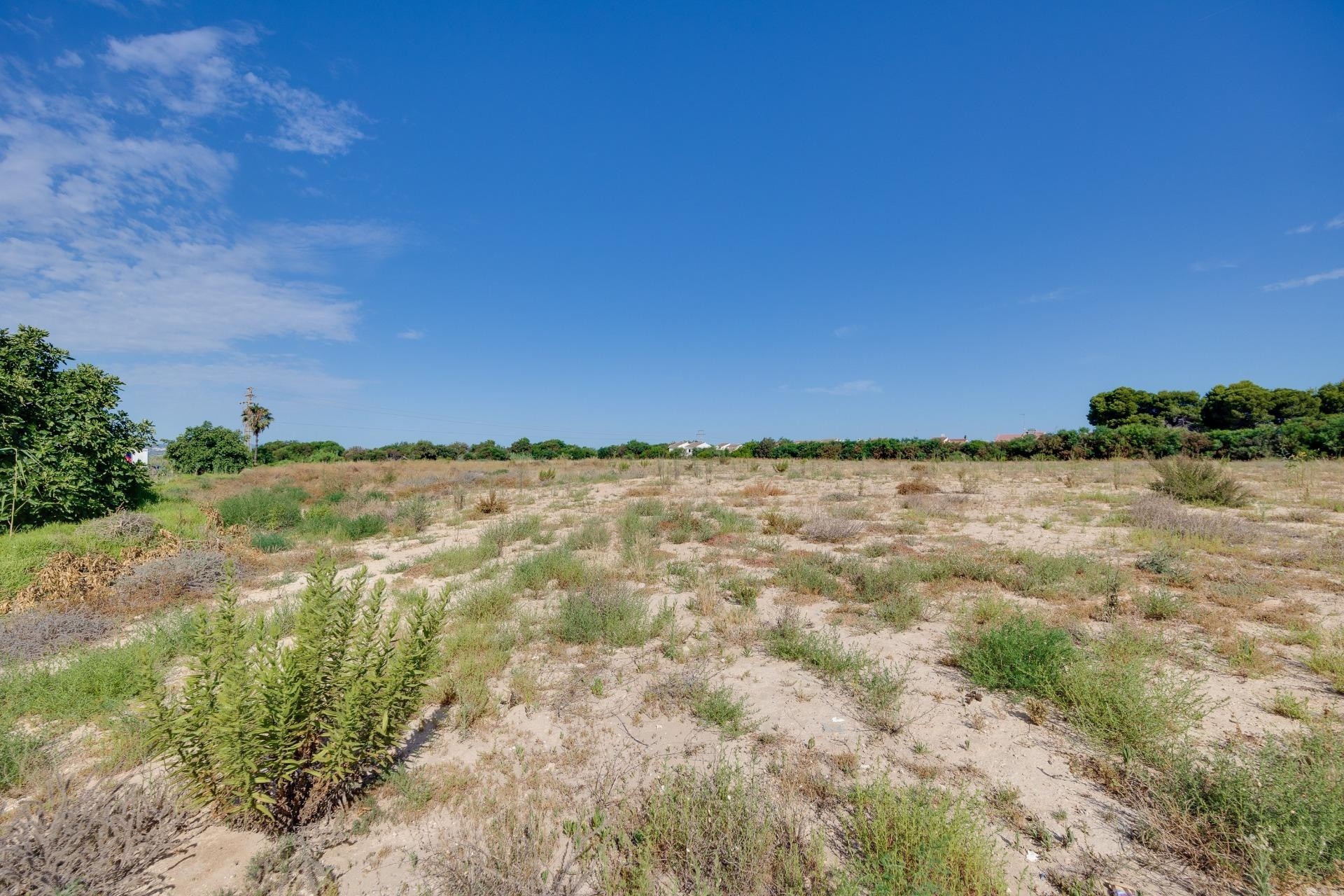 Sprzedaż - Willa wolnostojąca -
Torrevieja - El Limonar