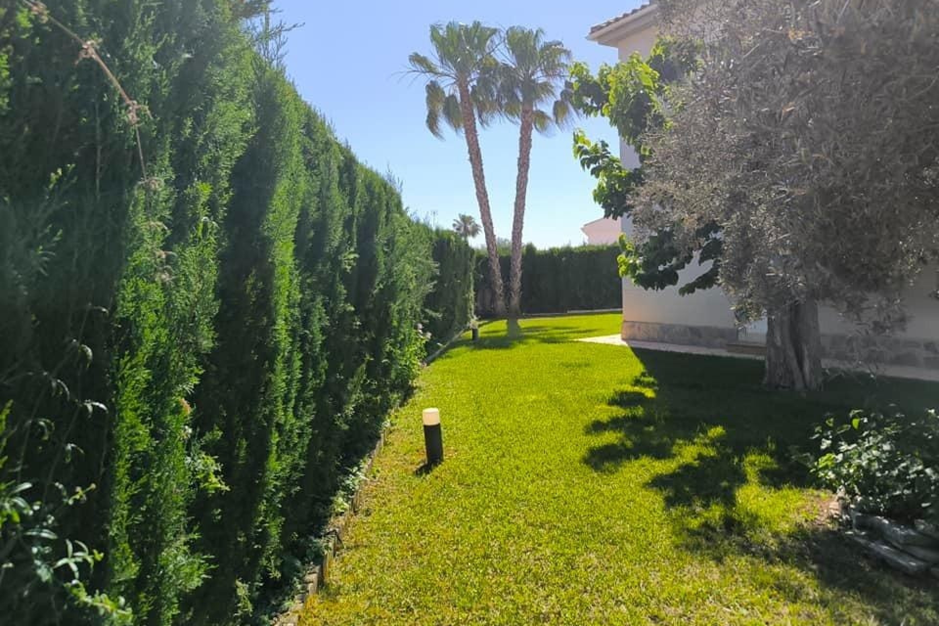 Sprzedaż - Willa wolnostojąca -
Torrevieja - La Siesta
