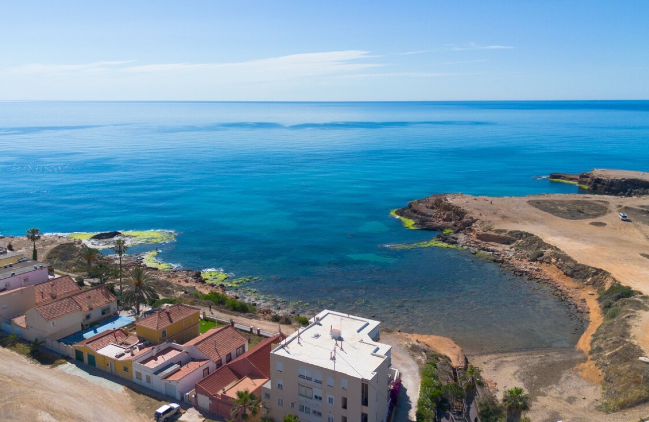 Sprzedaż - Willa wolnostojąca -
Torrevieja - Rosaleda