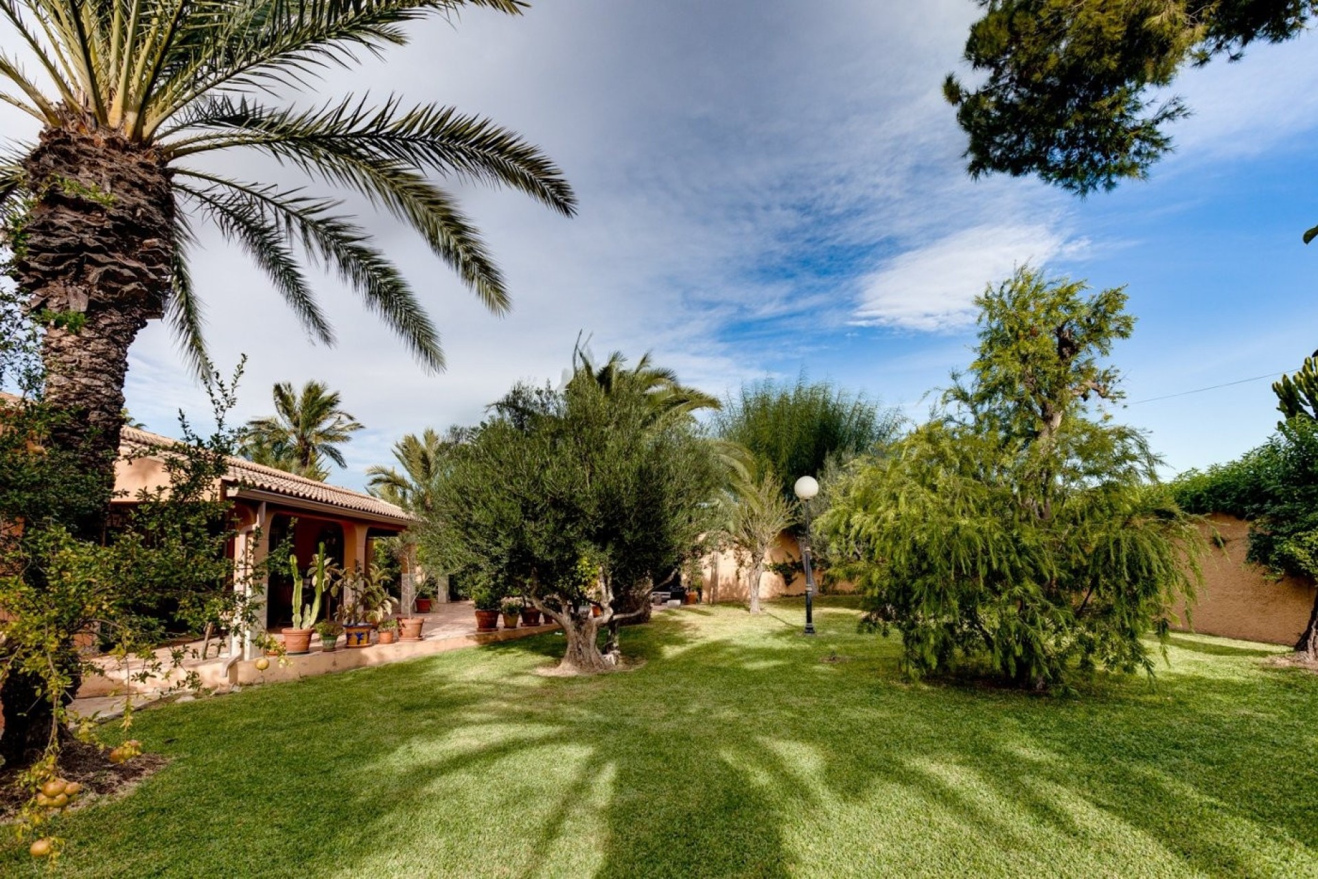Sprzedaż - Willa wolnostojąca -
Torrevieja - San Luis