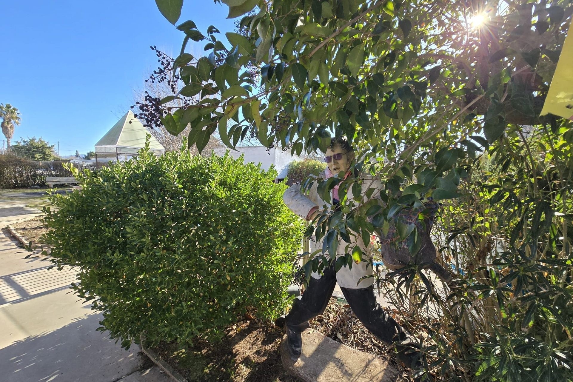 Sprzedaż - Willa wolnostojąca -
Villena