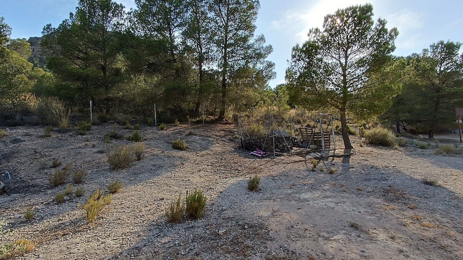 Sprzedaż - Willa wolnostojąca -
Yecla