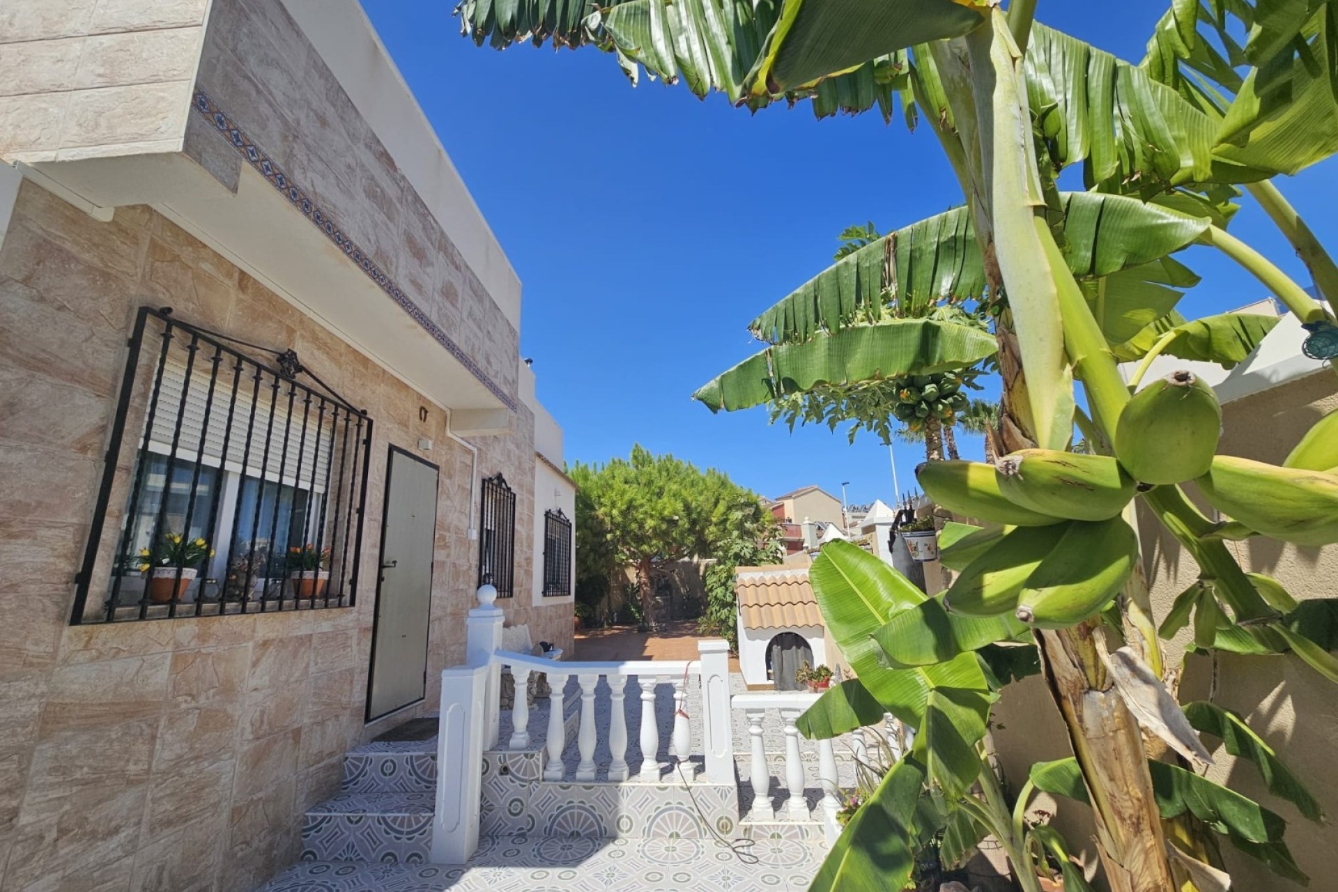 Sprzedaż - Wolnostojąca willa -
Torrevieja - Torre la mata
