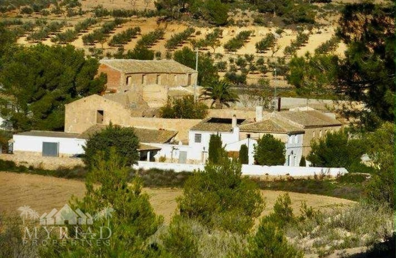 Sprzedaż - Wolnostojąca willa -
Yecla - Yecla Murcia