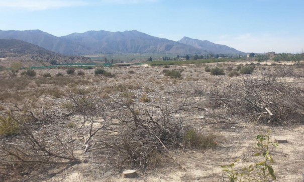 Terreno - Resale - Benferri - HUERTA PUEBLO