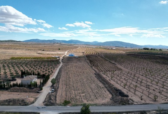 Terreno - Venta - Lel - Lel