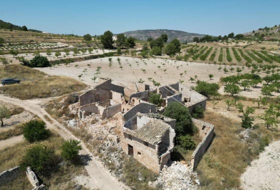 Terreno - Venta - Monovar - Monovar