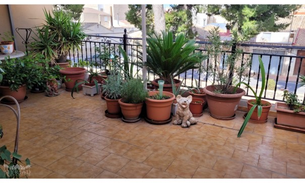 Town house - Sale - Pinoso - Pinoso Alicante