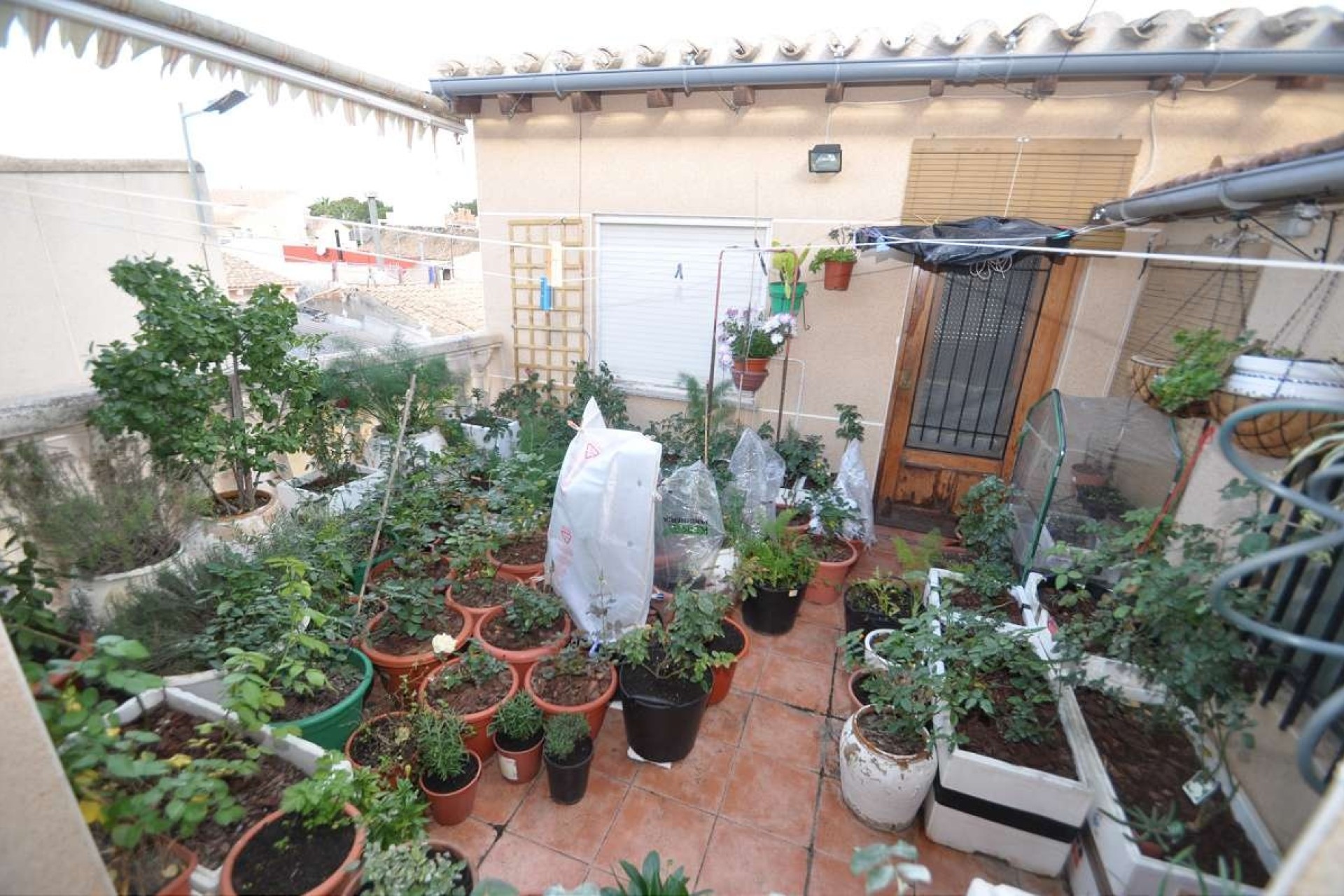 Venta - Adosado -
Pinoso - Inland