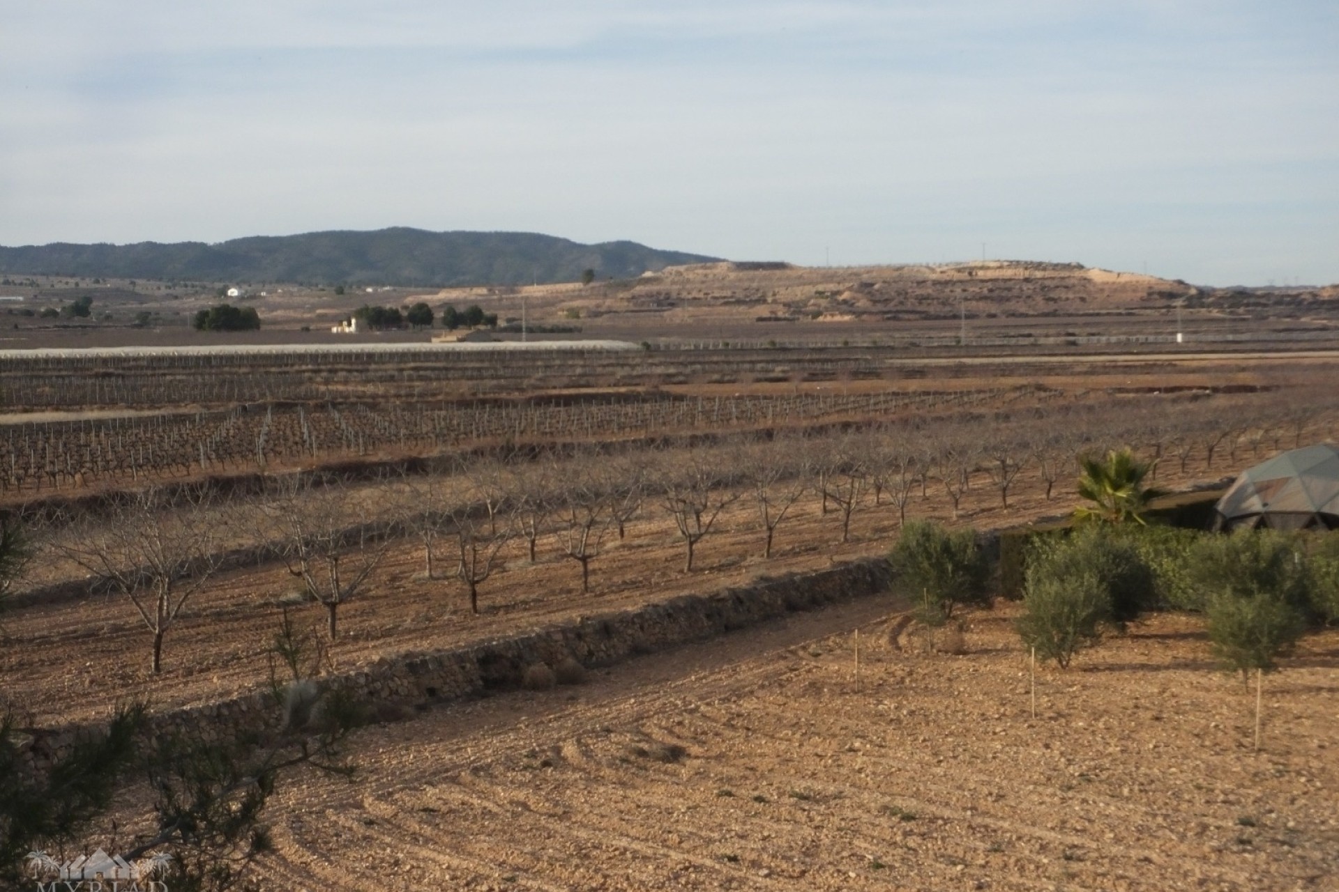 Venta - Adosado -
Pinoso - Pinoso Alicante