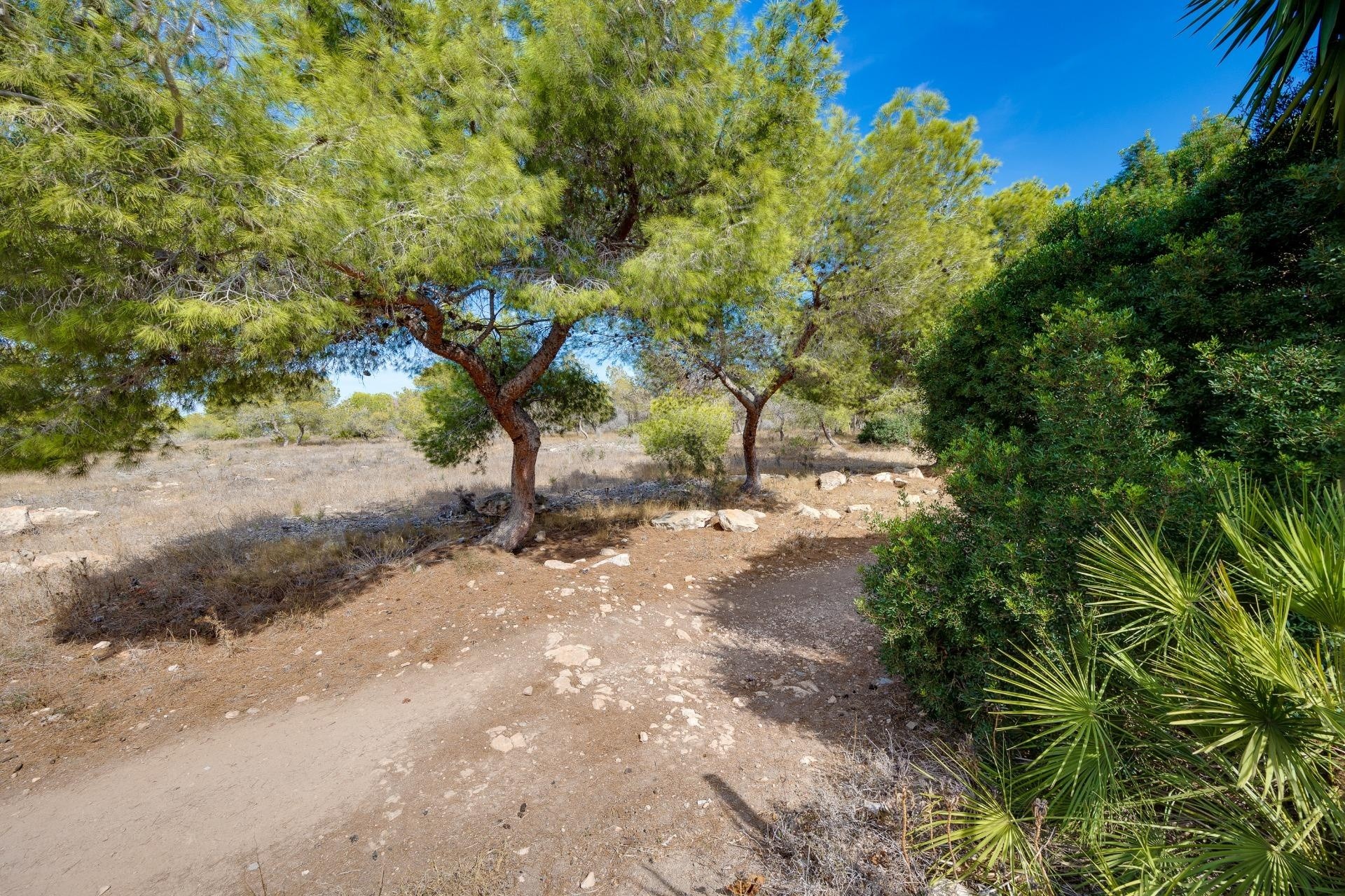 Venta - Adosado -
Torrevieja - La Siesta