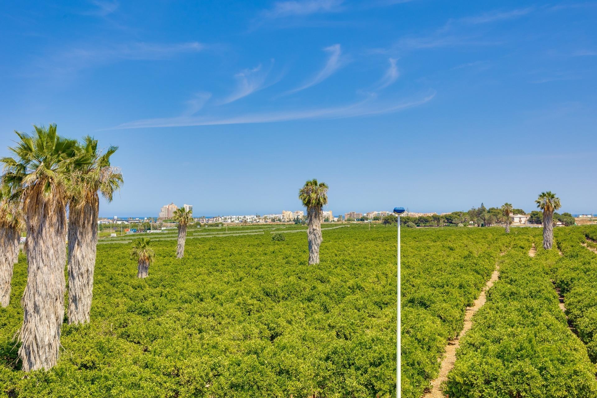 Venta - Adosado -
Torrevieja - Los Balcones