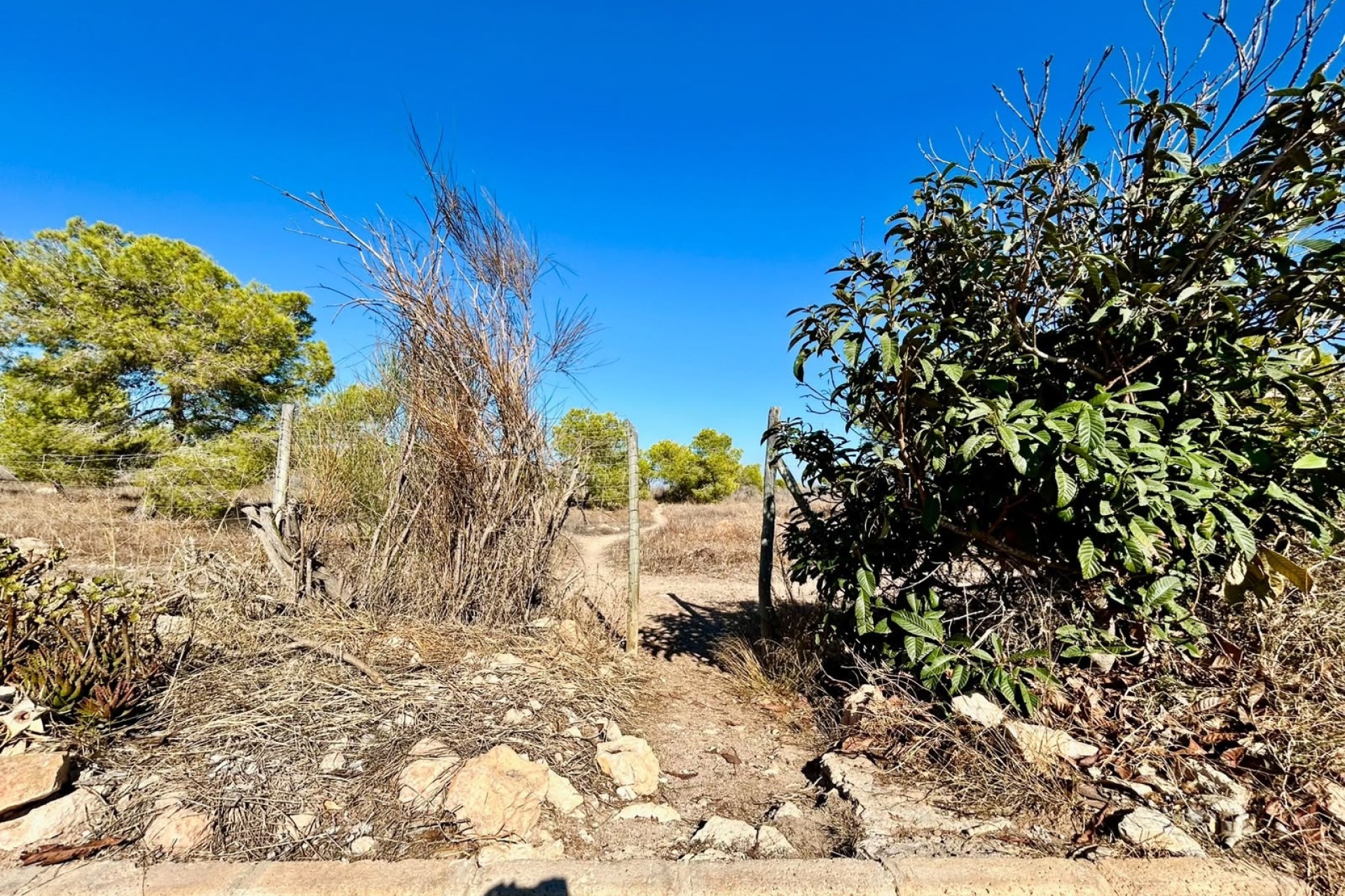 Venta - Adosado -
Torrevieja