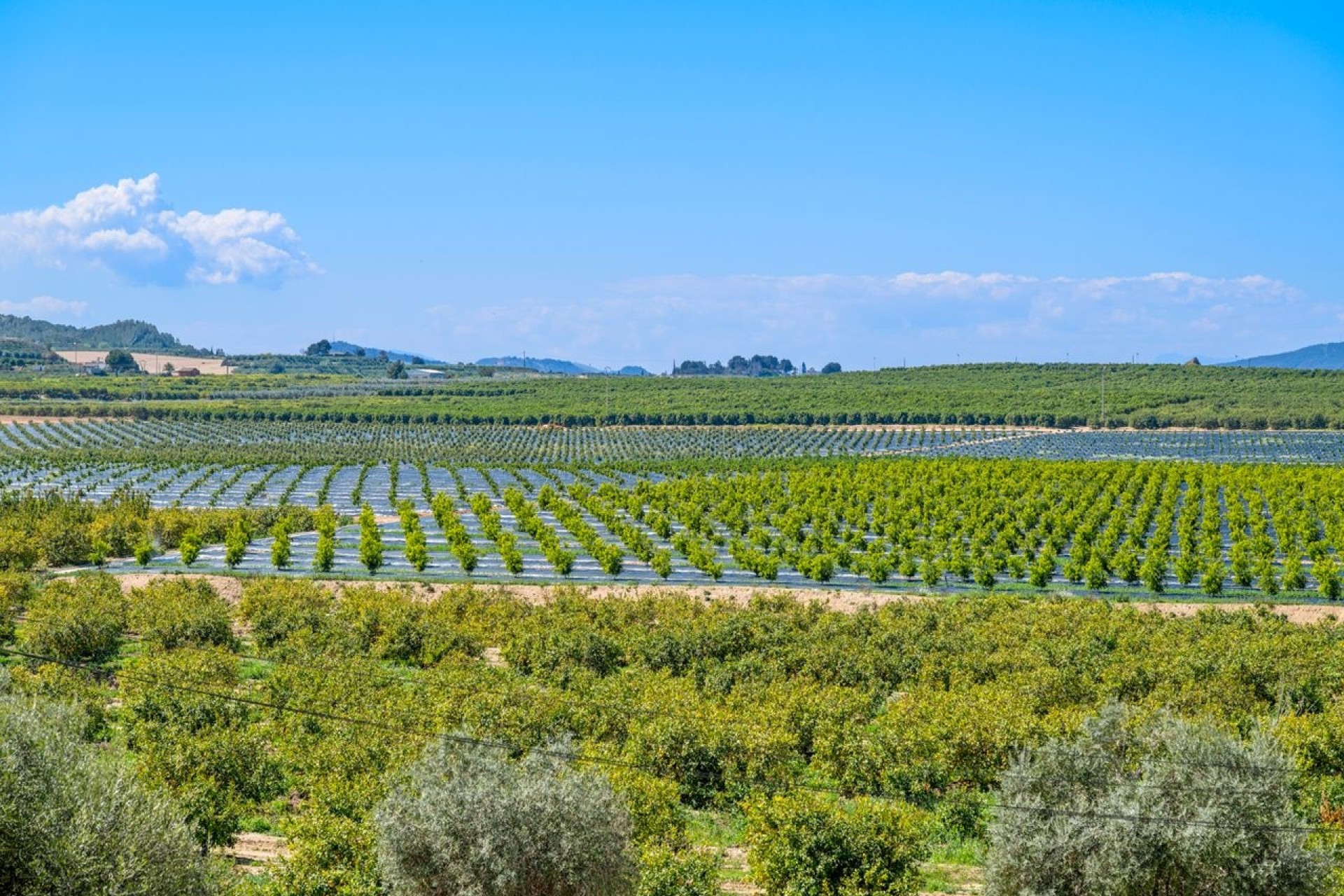 Venta - Apartamento / Piso -
Algorfa - Fontana