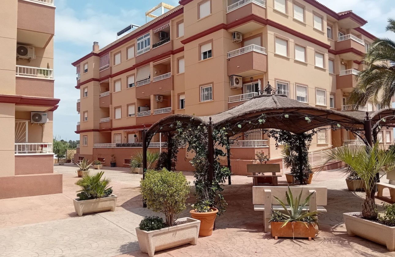 Venta - Apartamento piso -
Algorfa
