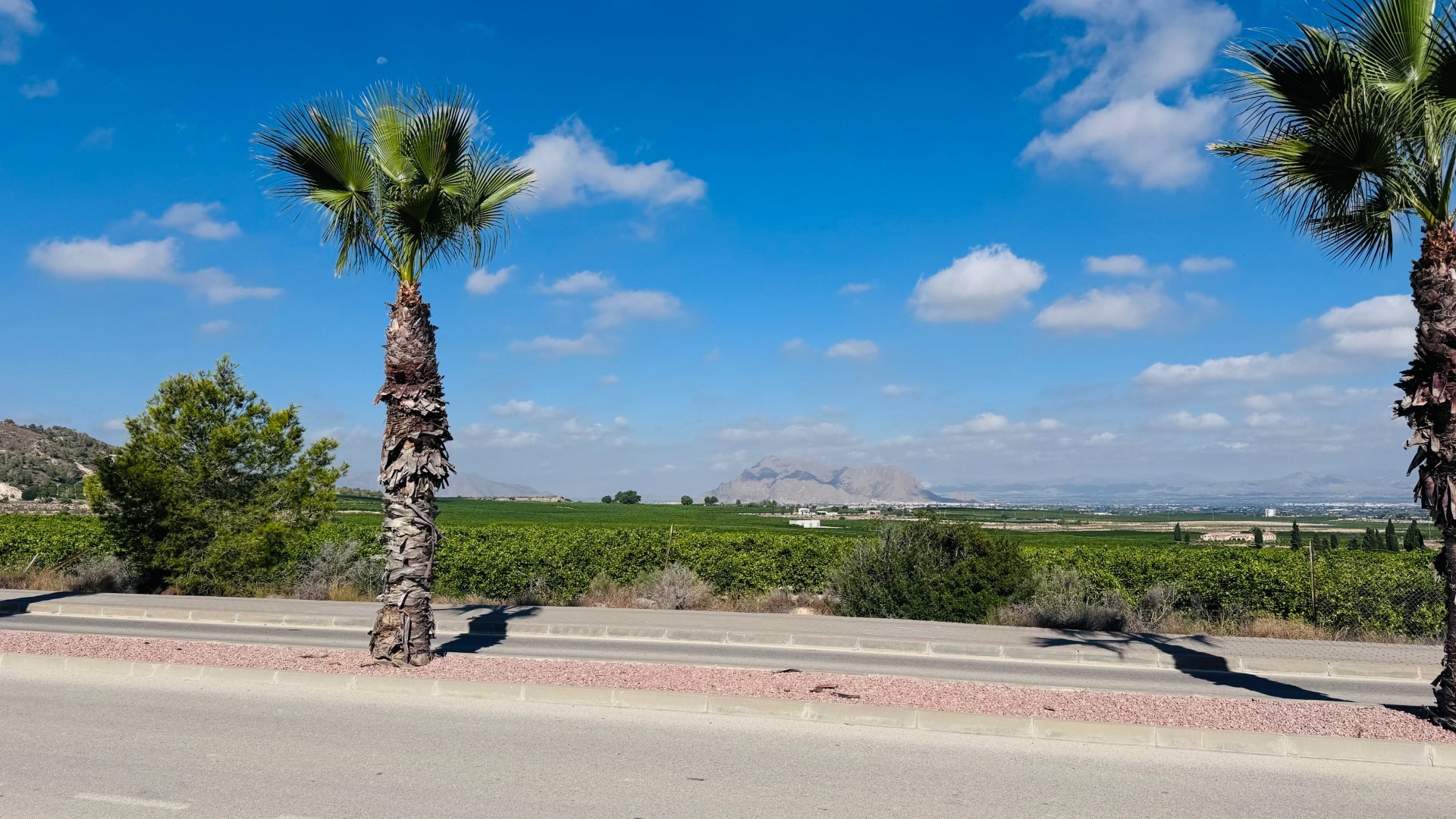 Venta - Apartamento piso -
Algorfa