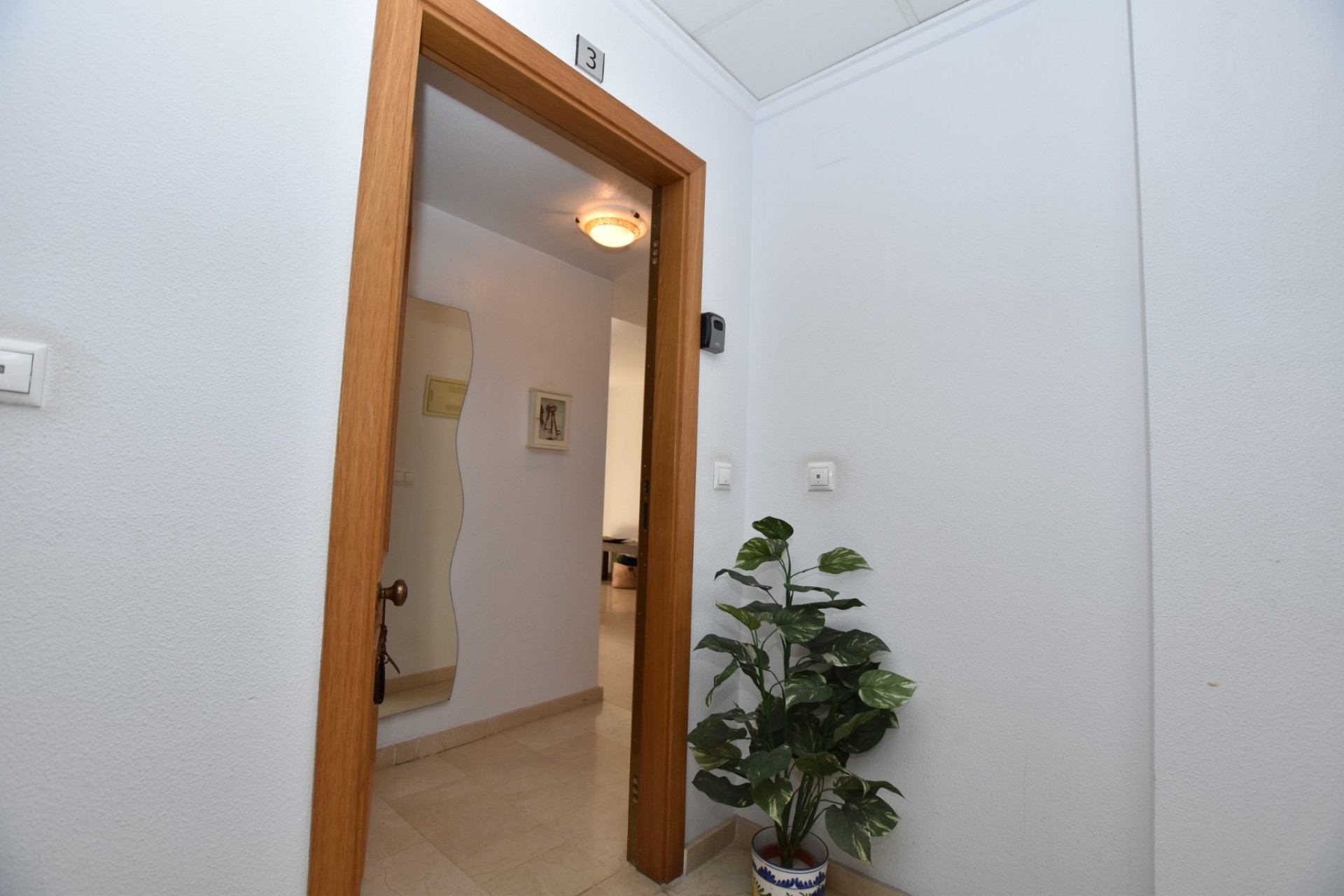 Venta - Apartamento / Piso -
Algorfa