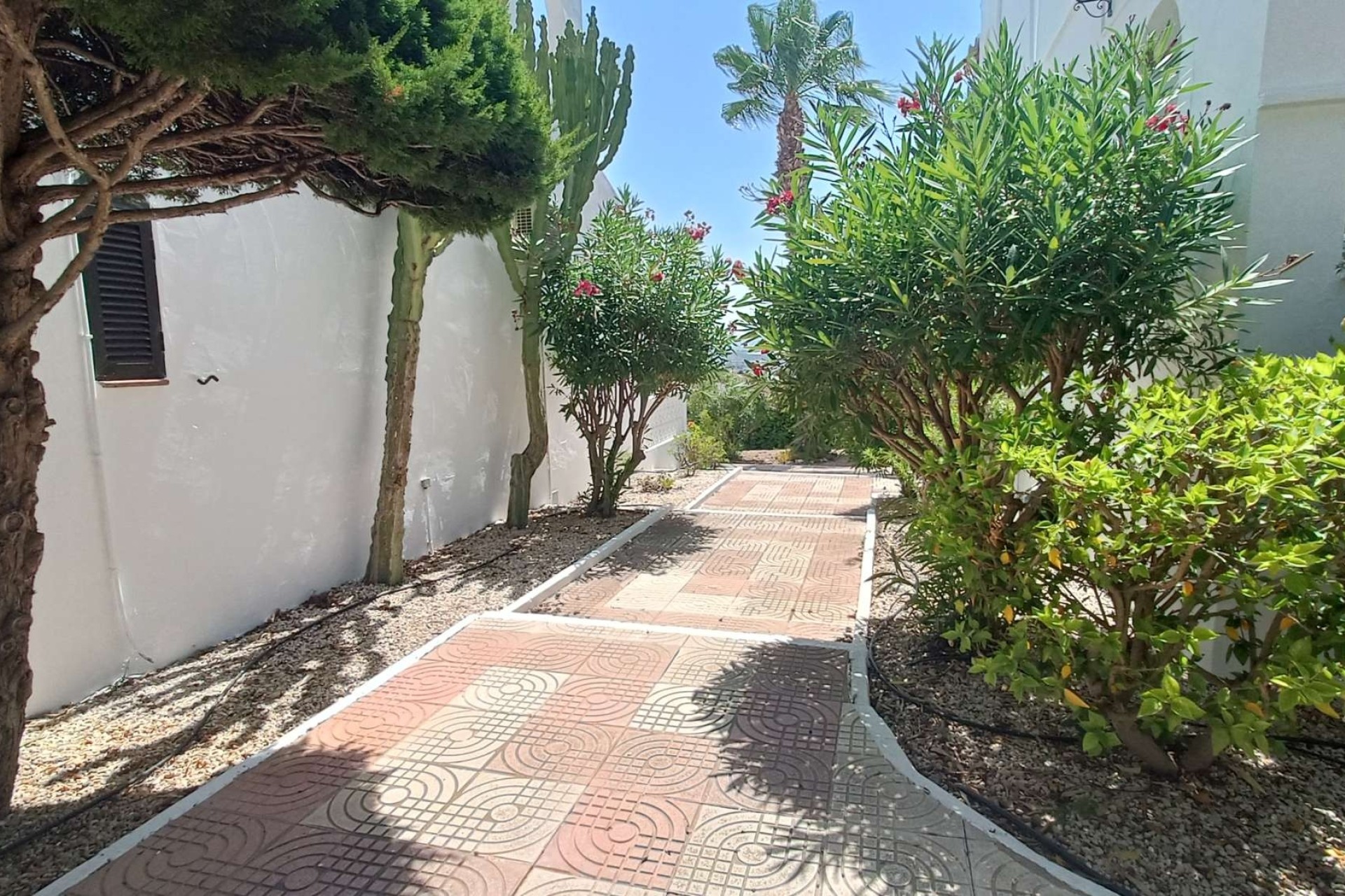 Venta - Apartamento / Piso -
Ciudad Quesada - Rojales - Ciudad Quesada
