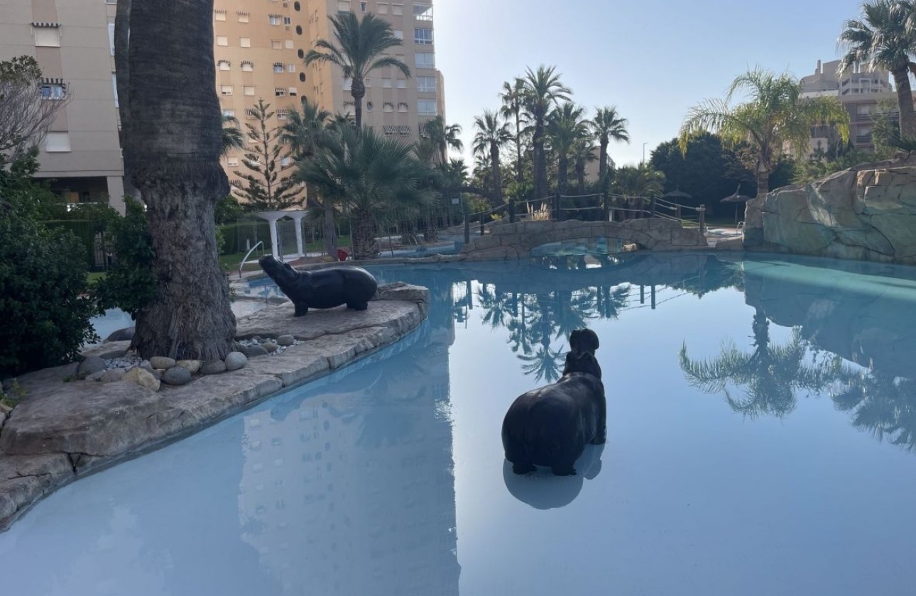 Venta - Apartamento / Piso -
El Campello - Costa Blanca