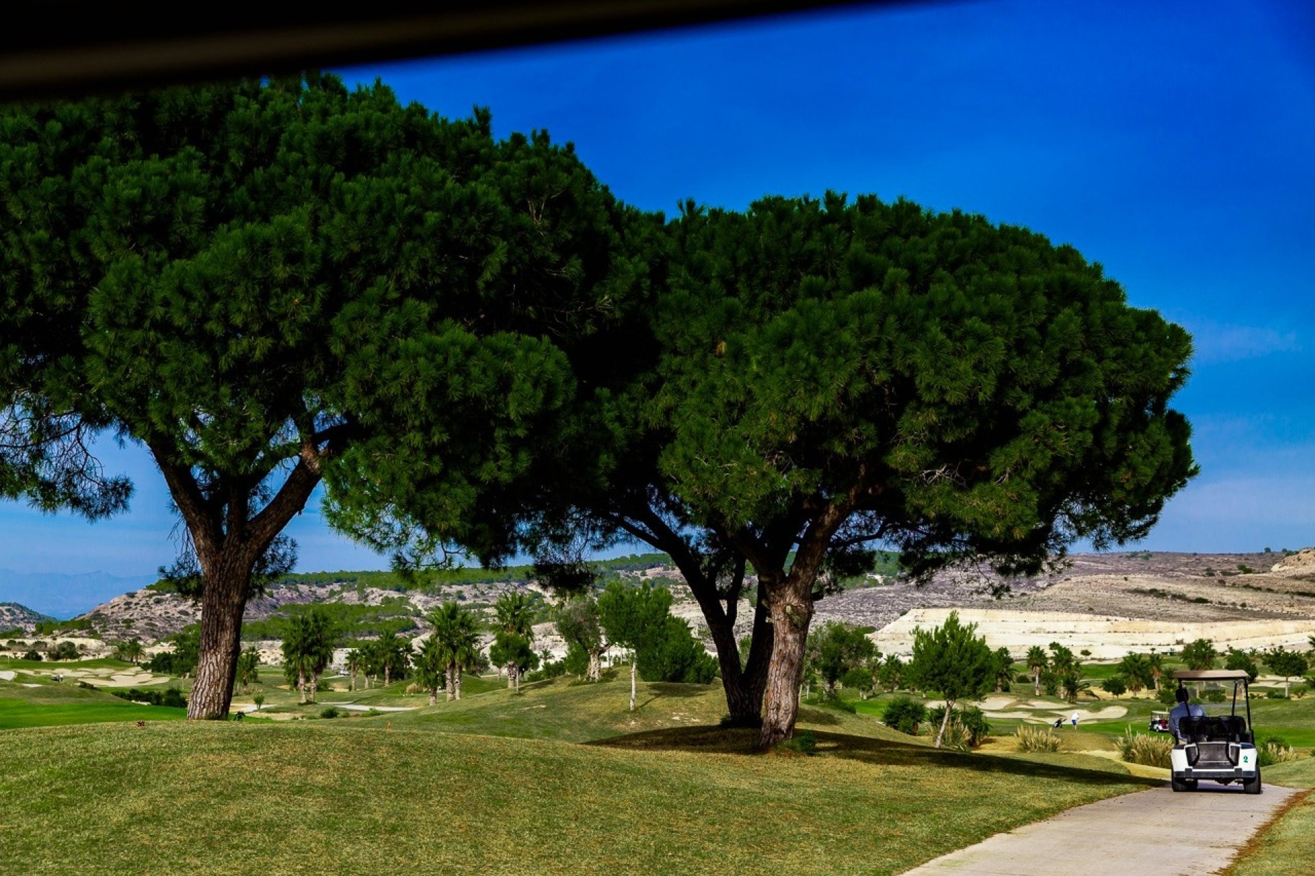 Venta - Apartamento / Piso -
Entre Naranjos - Vistabella Golf