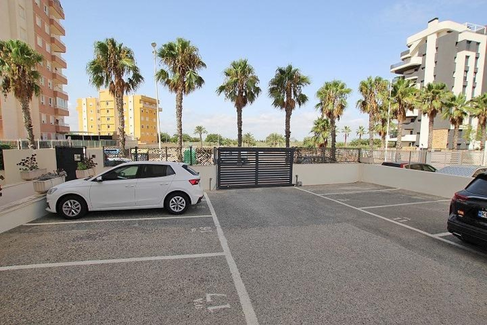 Venta - Apartamento / Piso -
Guardamar del Segura - Avenida del Puerto