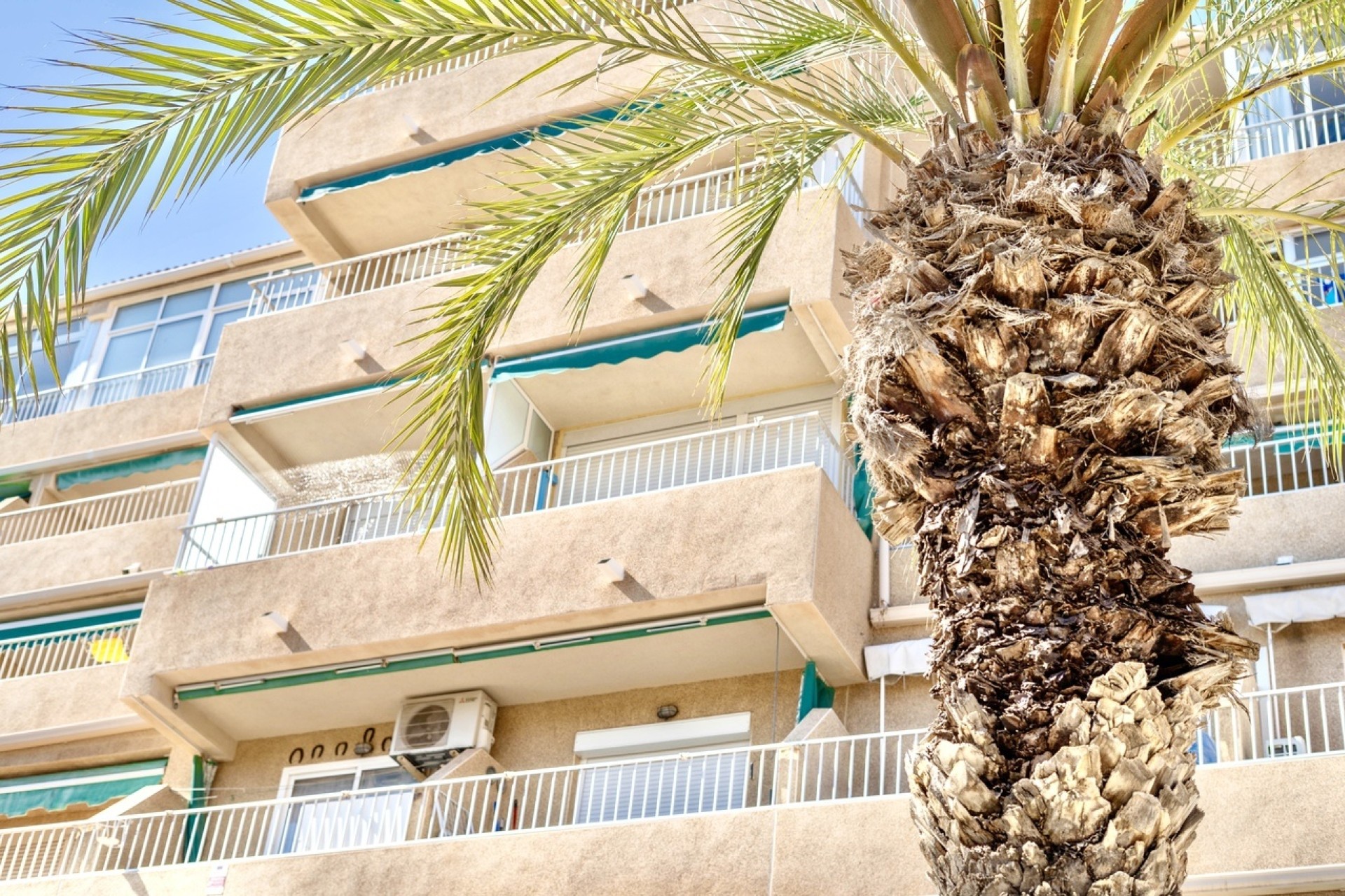 Venta - Apartamento / Piso -
Guardamar del Segura - Costa Blanca